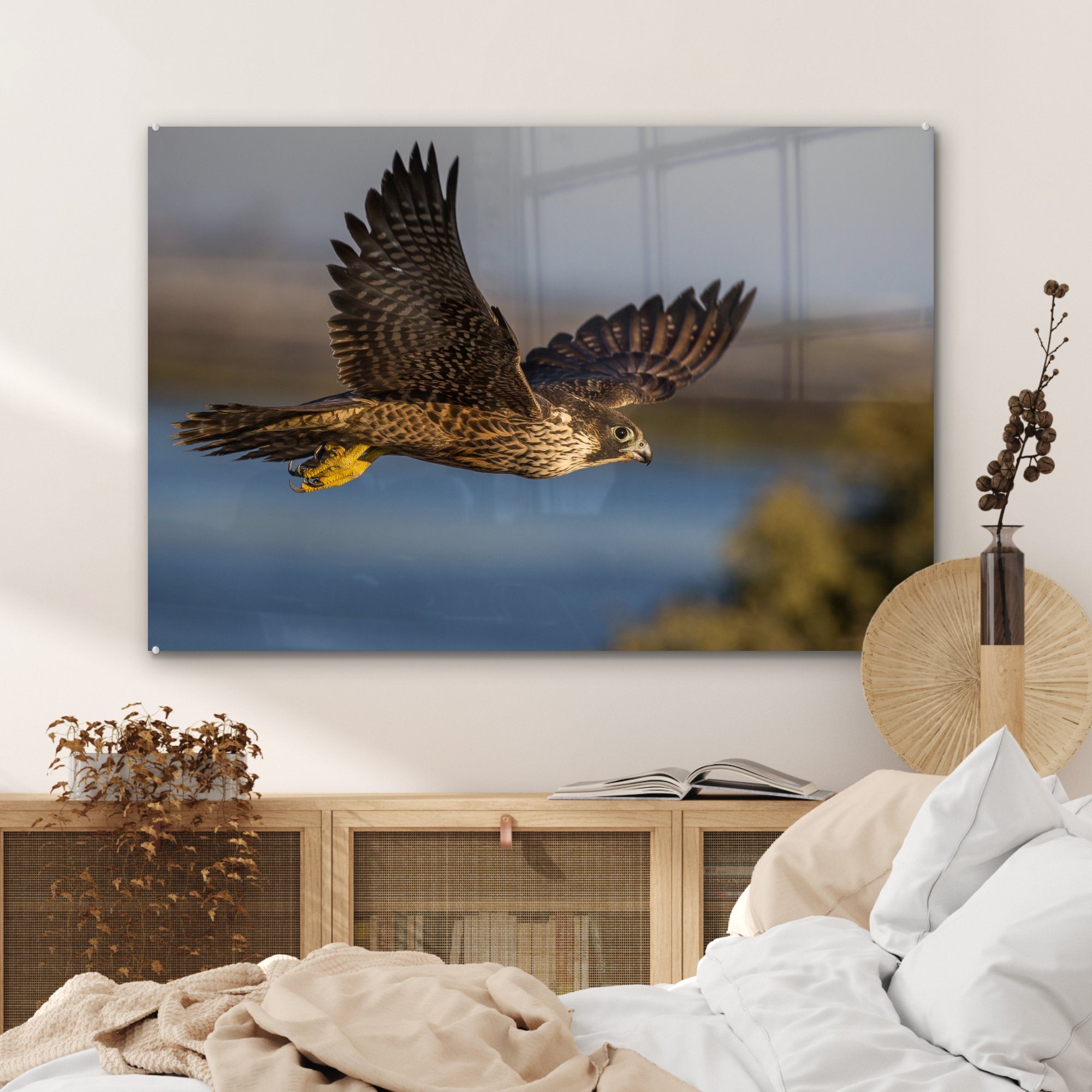 Mehr (1 Acrylglasbild - - St), Wohnzimmer & MuchoWow Falke Fliegen, Acrylglasbilder Schlafzimmer