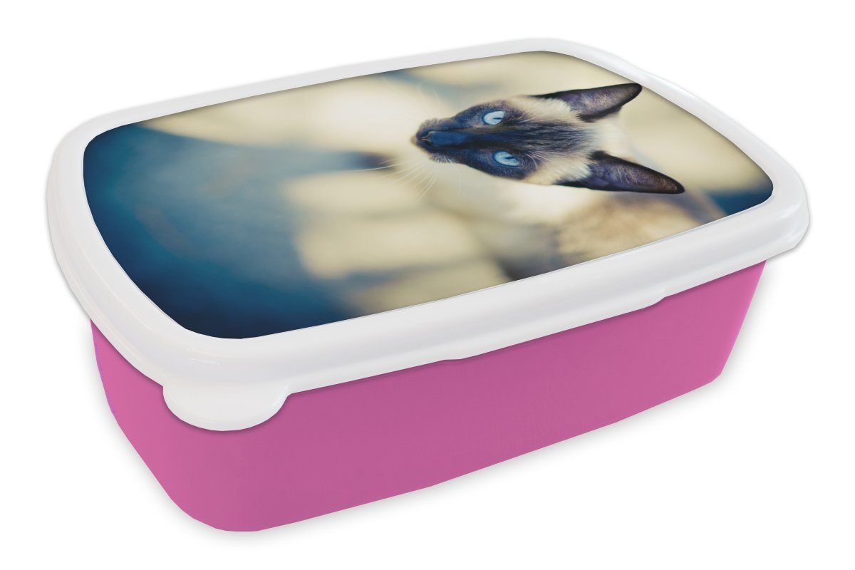 MuchoWow Lunchbox Eine (2-tlg), Kinder, Mädchen, Kunststoff, Snackbox, Brotbox für von rosa Kunststoff siamesische oben, Katze Erwachsene, Brotdose