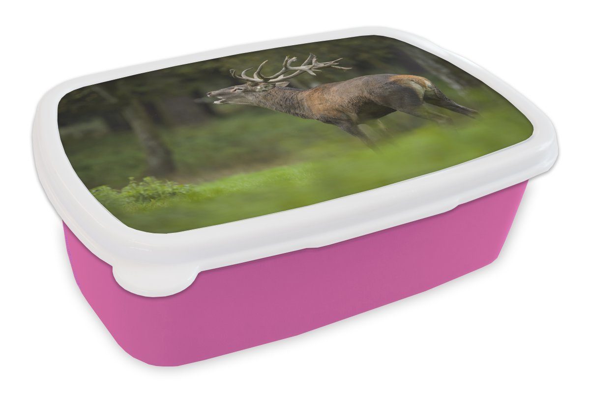 MuchoWow Lunchbox Elch - Wald - Porträt, Kunststoff, (2-tlg), Brotbox für Erwachsene, Brotdose Kinder, Snackbox, Mädchen, Kunststoff rosa