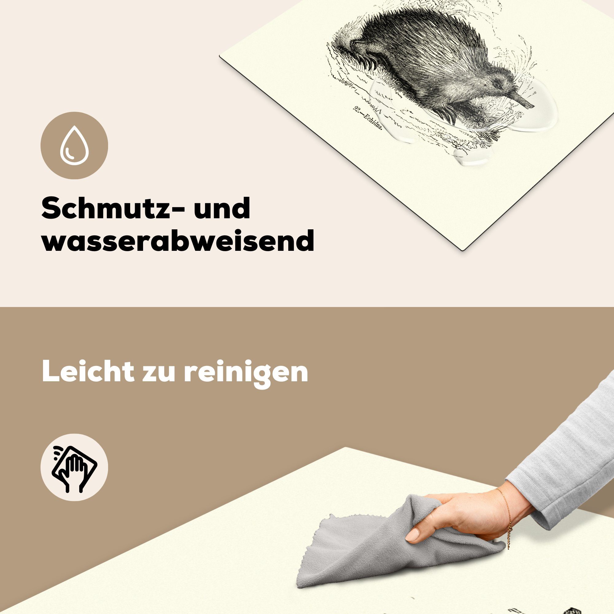 Hintergrund, weißem eines nutzbar, Mobile tlg), Arbeitsfläche Vinyl, MuchoWow auf cm, Ceranfeldabdeckung Ameisenigels 60x52 (1 Herdblende-/Abdeckplatte Illustration