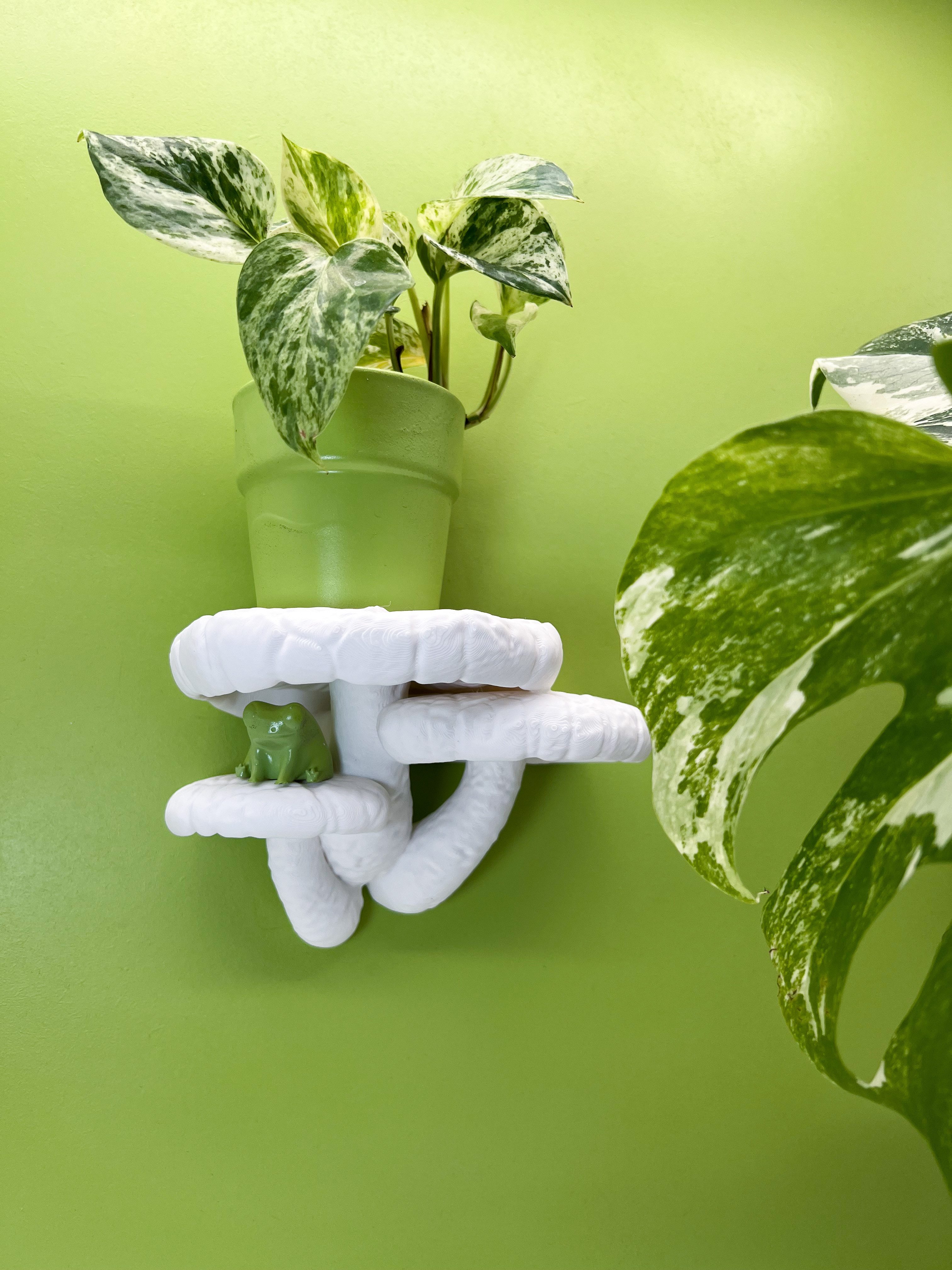 Roomberry Deko-Wandregal Shiitake Pilz Wandregal, Made in Germany