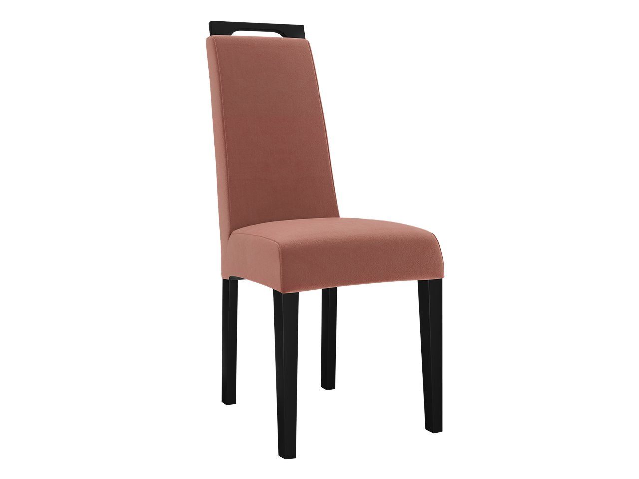 MIRJAN24 Stuhl K79 (1 Stück), aus Buchenholz, 59x45x100 cm Magic Velvet 2258
