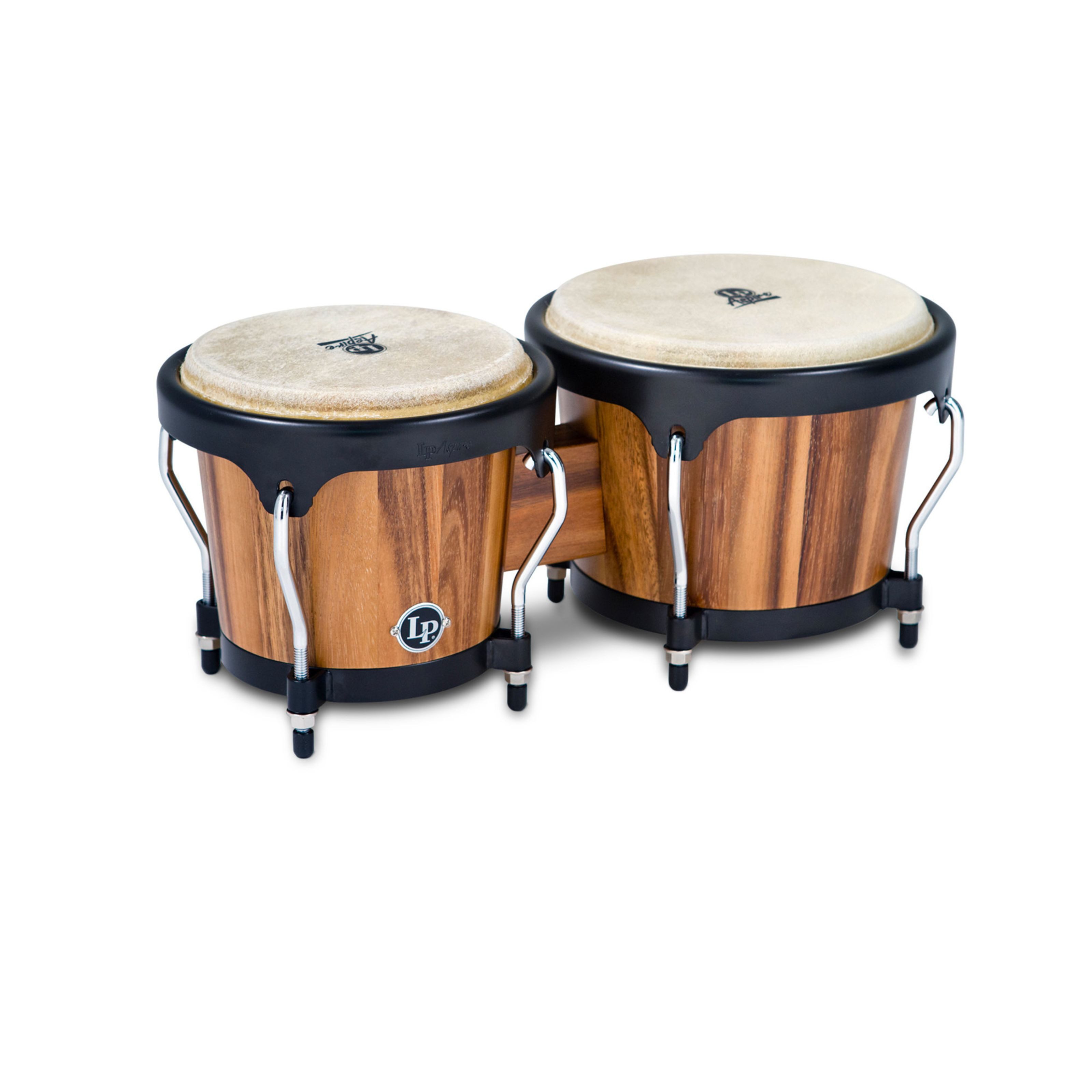 Bongo