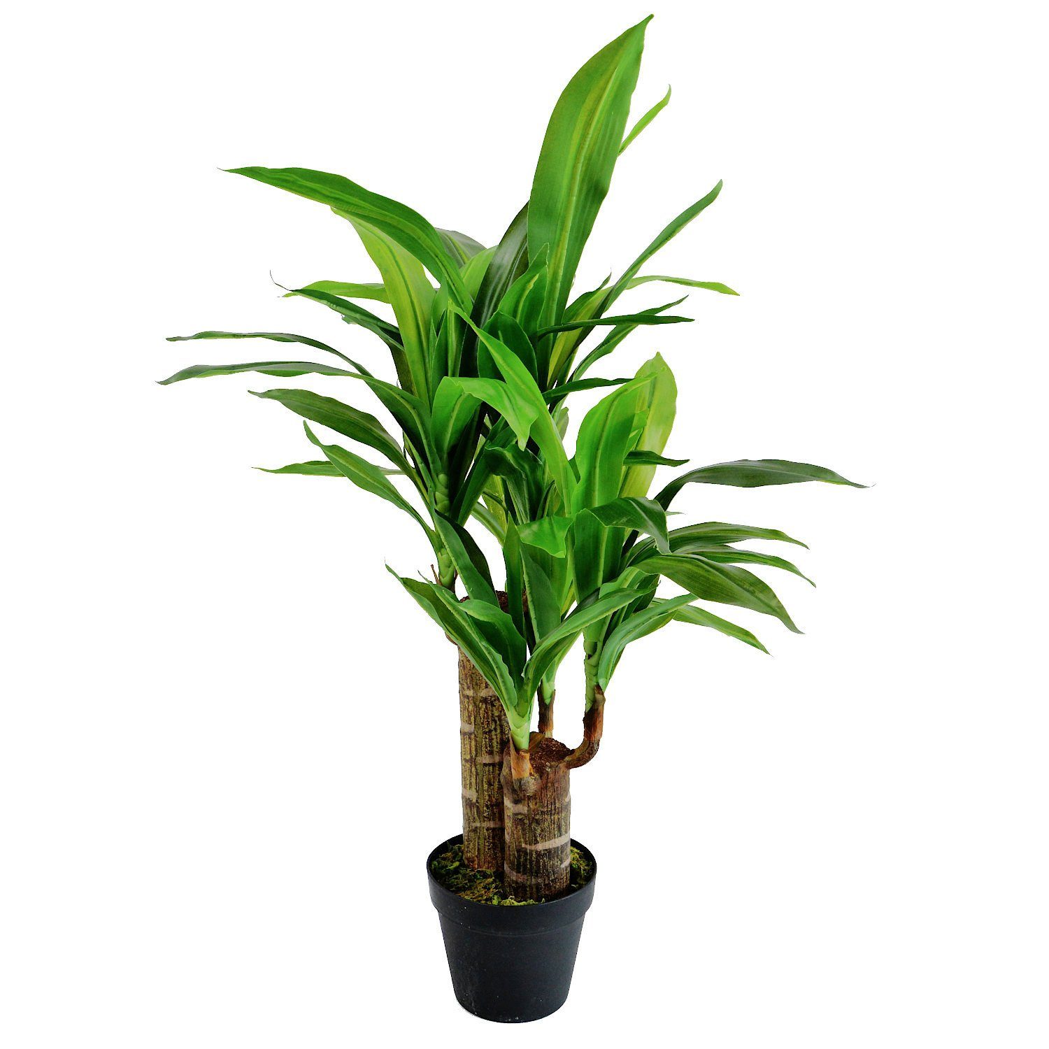 Künstliche Zimmerpflanze Kunstpflanze Yucca im Topf 80cm, INtrenDU