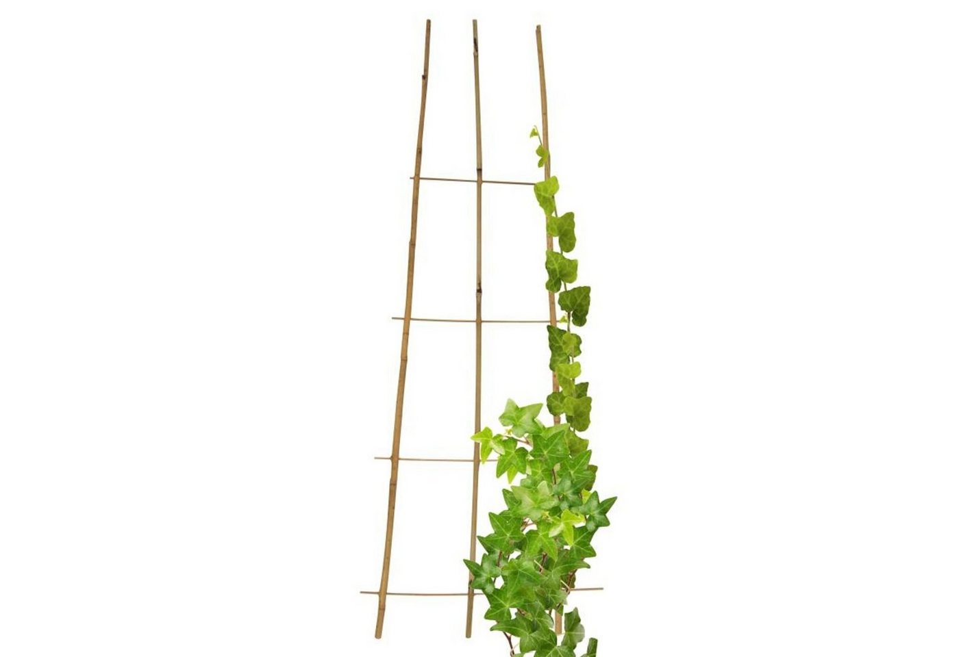 Thumbnail - BURI Rankgitter 25x Bambus Rankgitter 110cm Wandspalier Sichtschutz Kletterpflanzen Hi