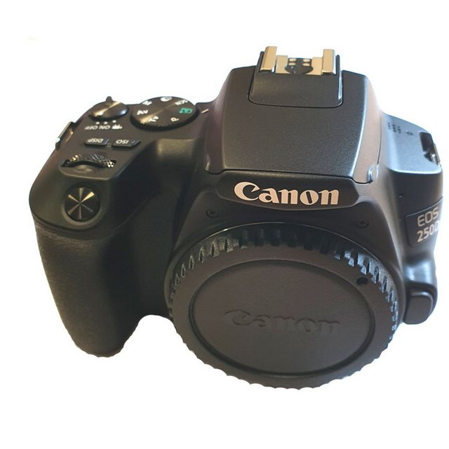 Canon Canon EOS 250D Objektiv EF S 18 55 mm IS Spiegelreflexkamera  - Onlineshop OTTO