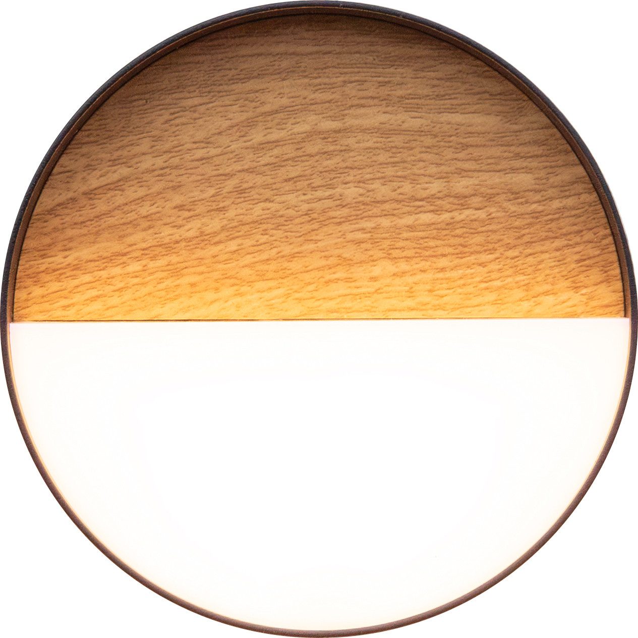 ECO-LIGHT LED Außen-Wandleuchte LED-Wandleuchte MEG holzfarben, günstig online kaufen