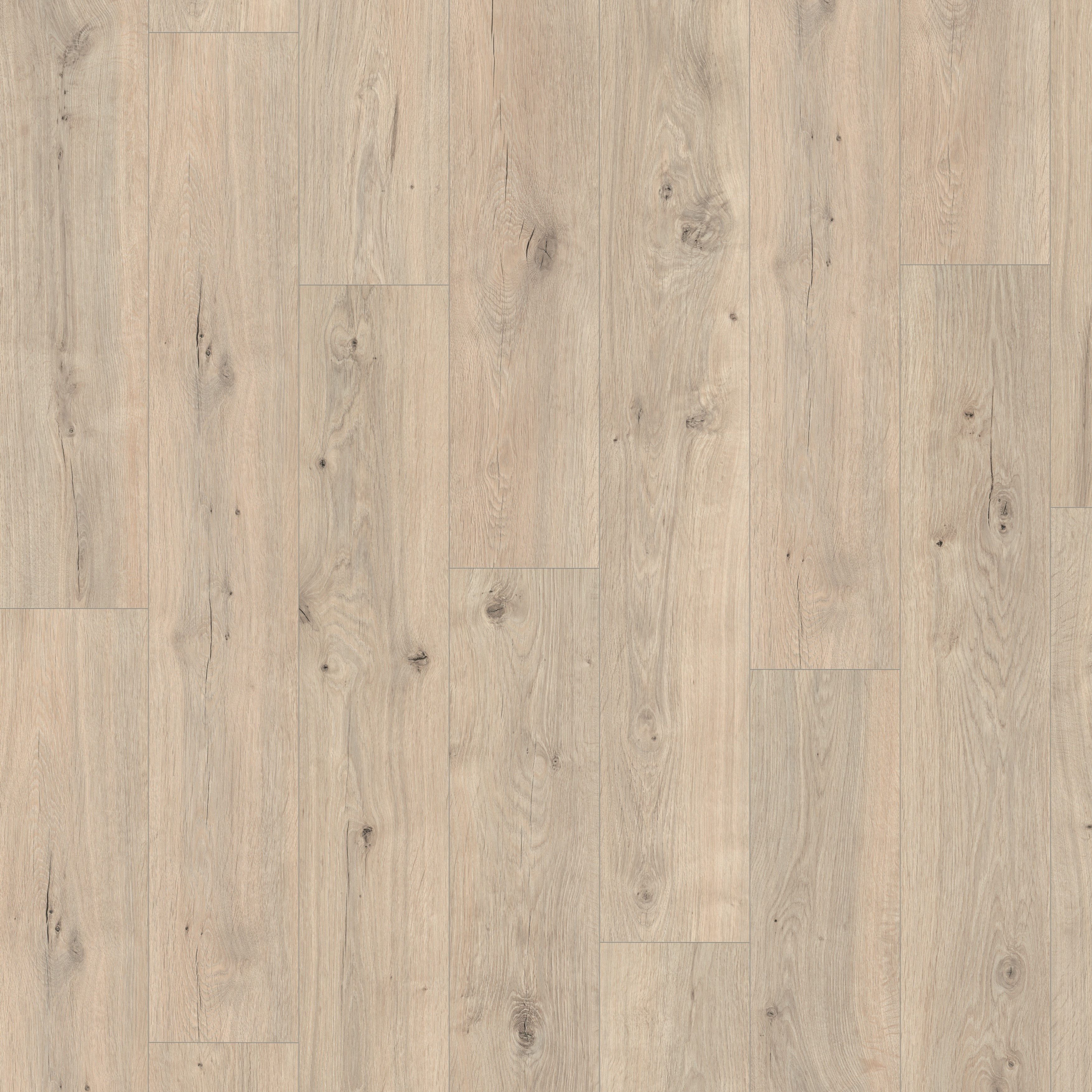Bodenglück Laminat Basic Kollektion - Dielen günstig online kaufen