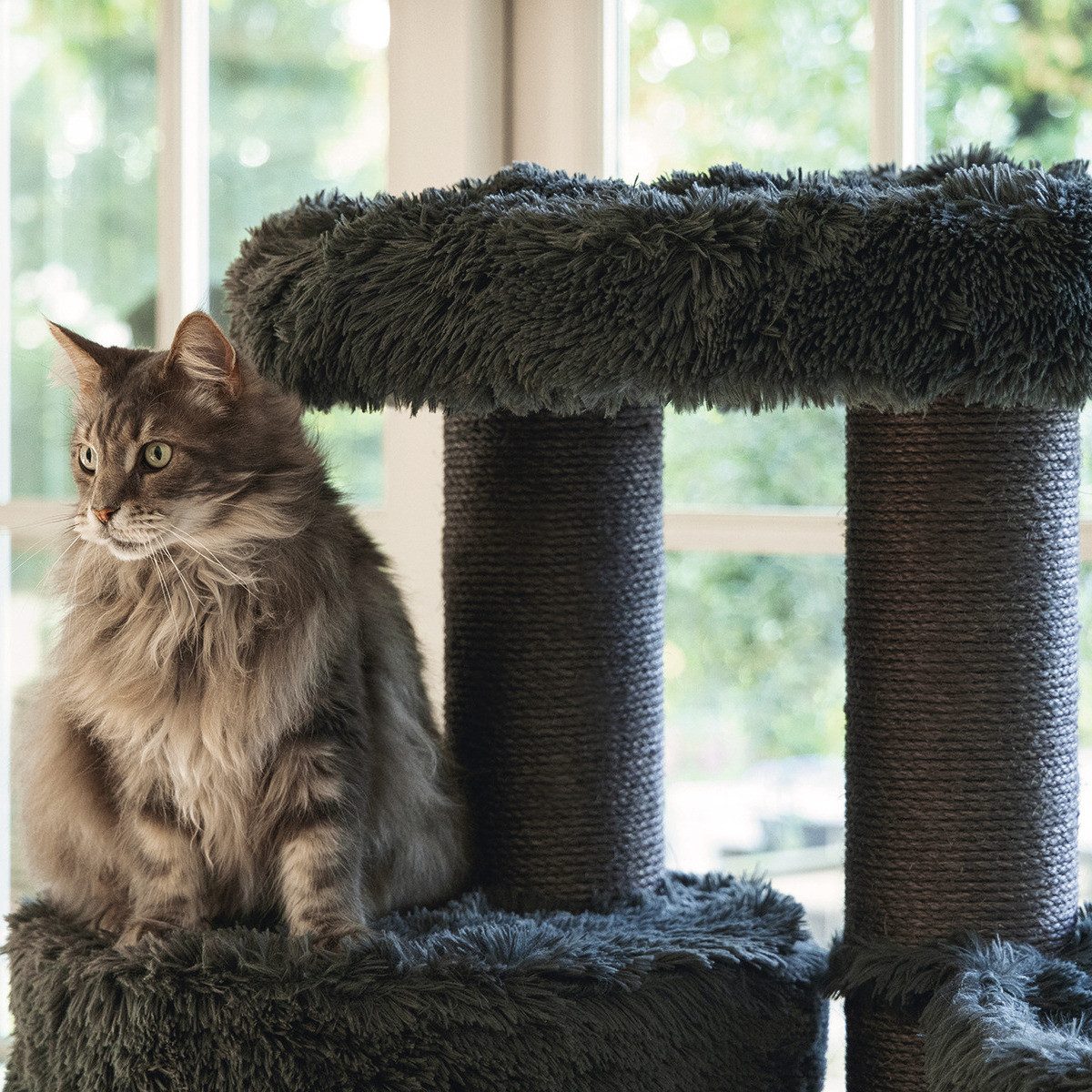 Beeztees Kratzbaum-Liegemulde Oberes Sofa für Kratzbaum Kaleo grau