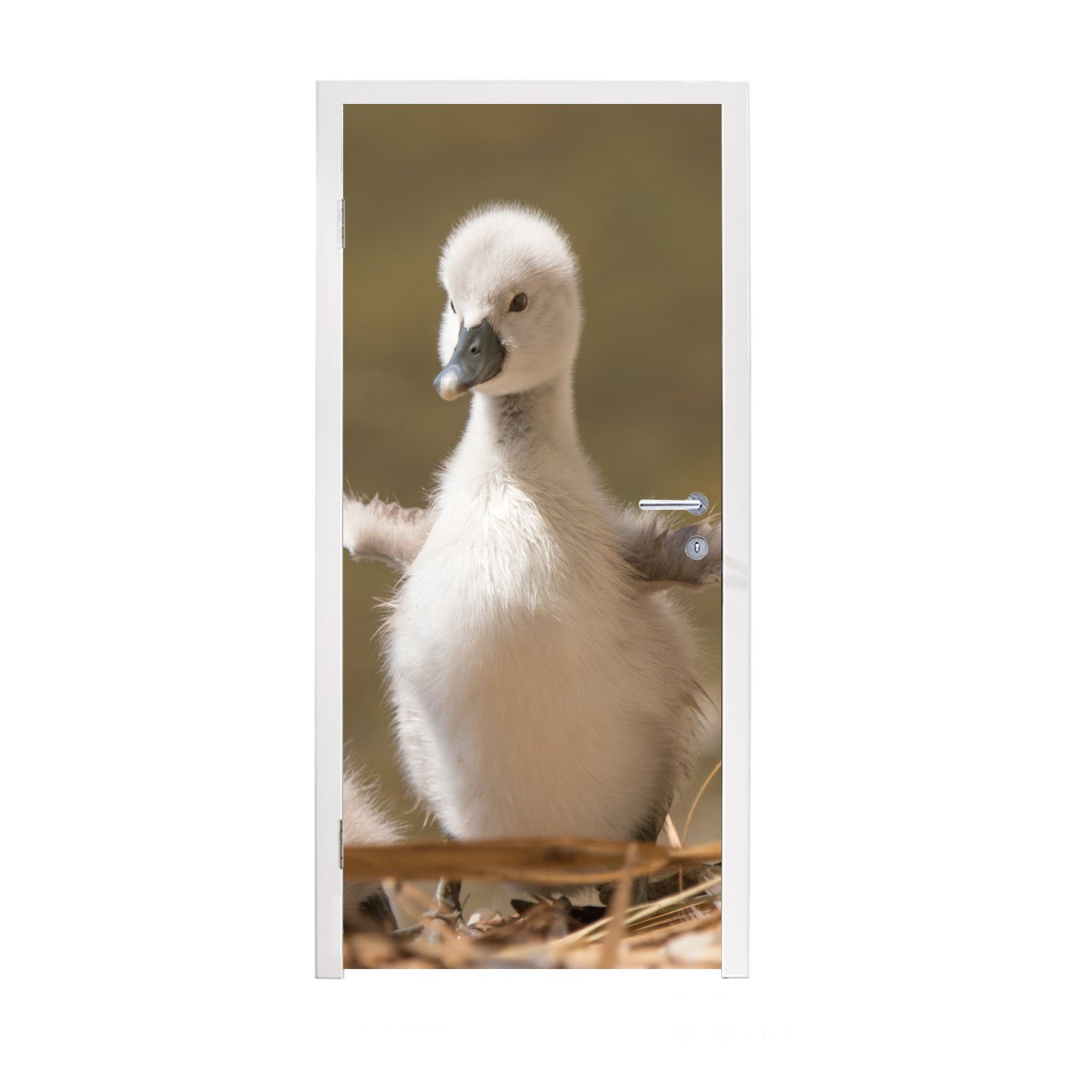 MuchoWow Türtapete Baby - Schwan - Nest - Küken, Matt, bedruckt, (1 St), Fototapete für Tür, Türaufkleber, 75x205 cm | Türtapeten