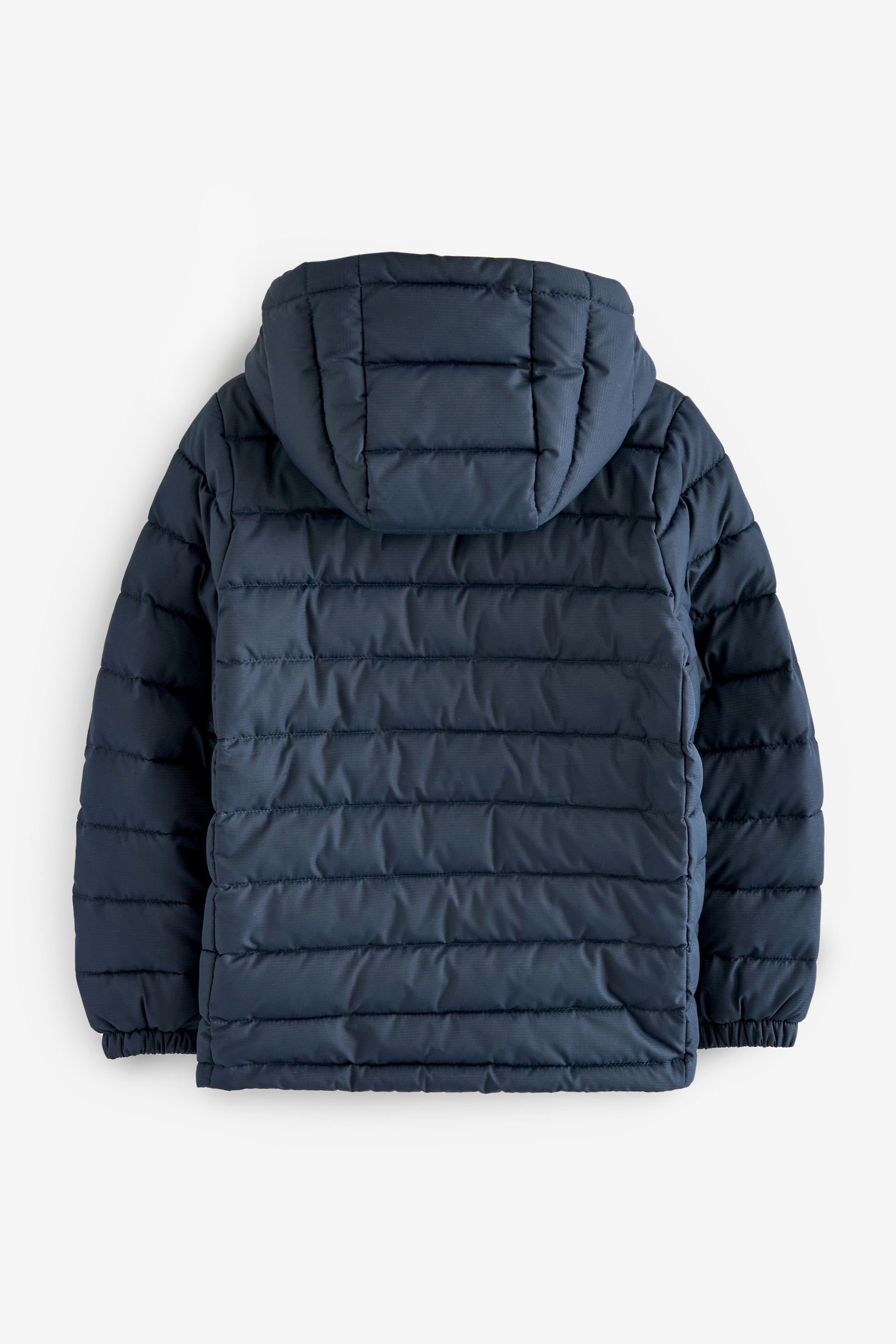 Next (1-St) Steppjacke Kapuzenjacke mittelschwere Blue Navy Gesteppte,