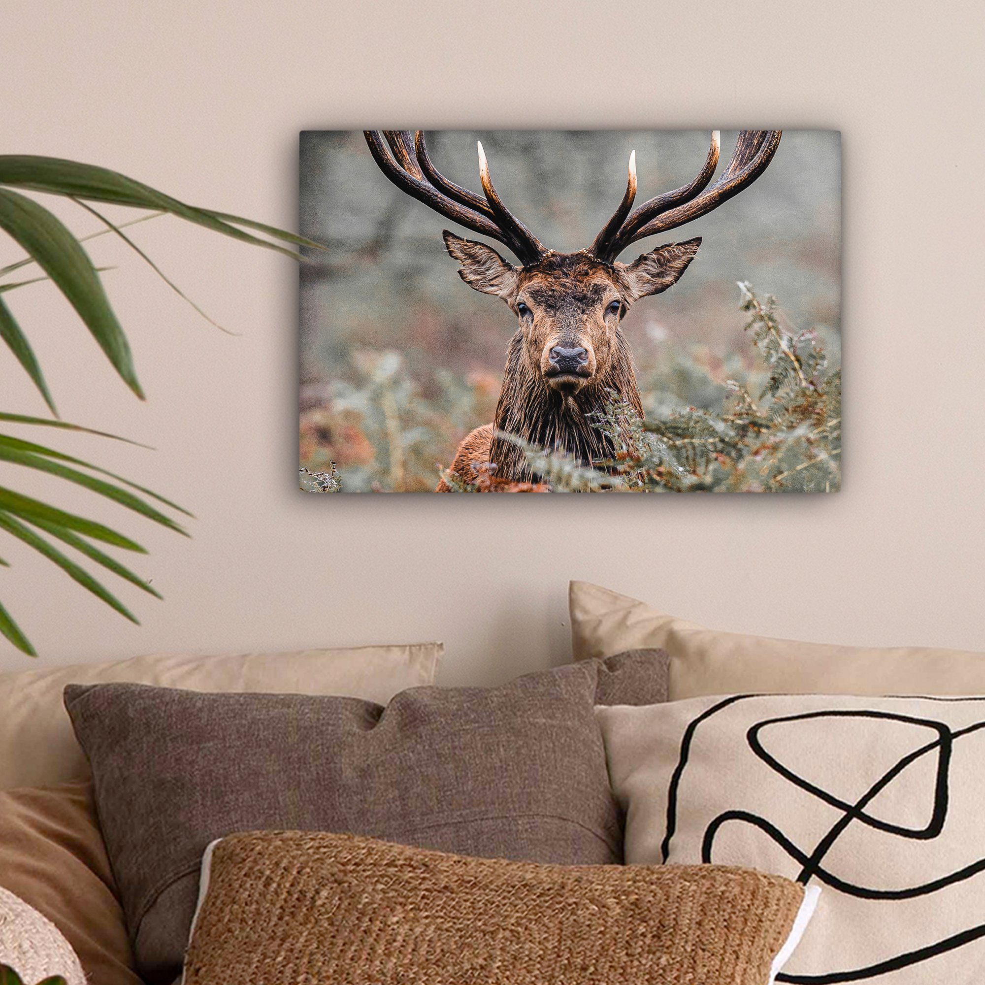 OneMillionCanvasses® Leinwandbild Hirsche - Natur - Herbst - Waldtiere, Fot günstig online kaufen
