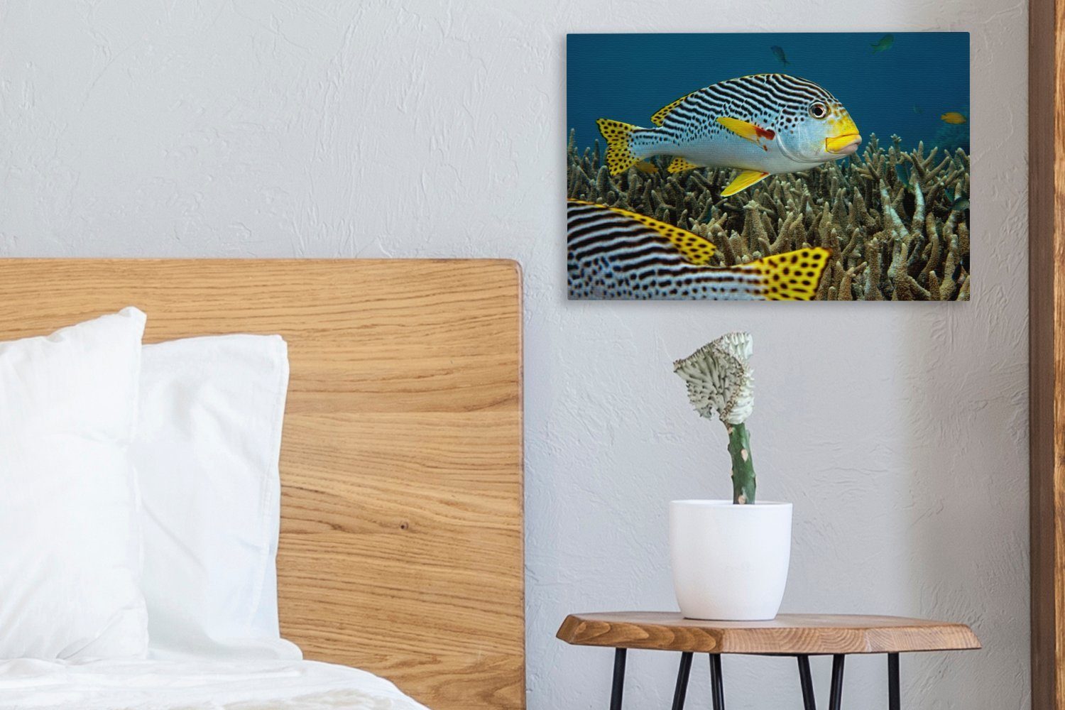 Fisch 30x20 Leinwandbilder, Leinwandbild St), cm - OneMillionCanvasses® Meer, Boden - Aufhängefertig, Wandbild Wanddeko, (1