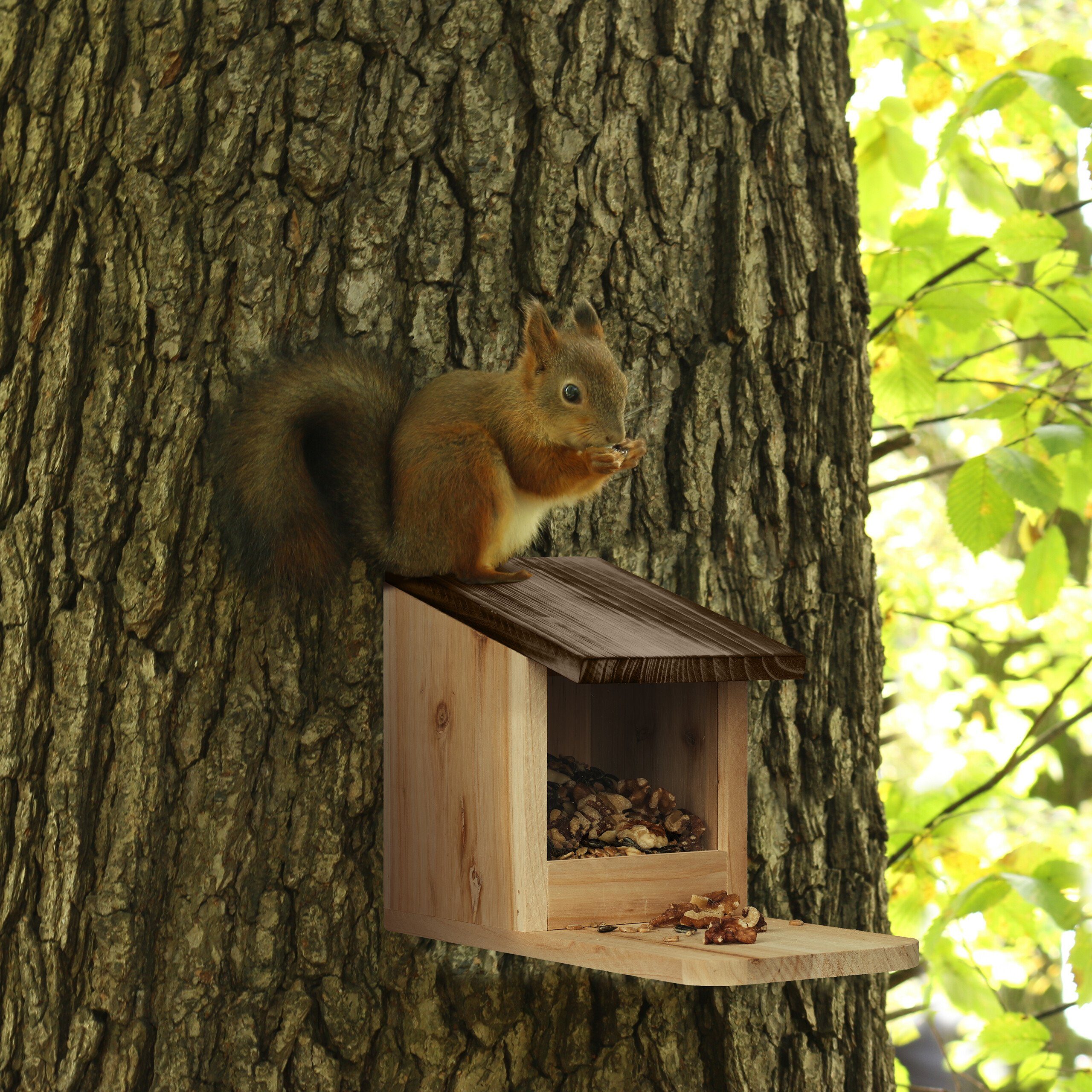 Eichhörnchen Holz relaxdays aus Eichhörnchenkobel Futterhaus