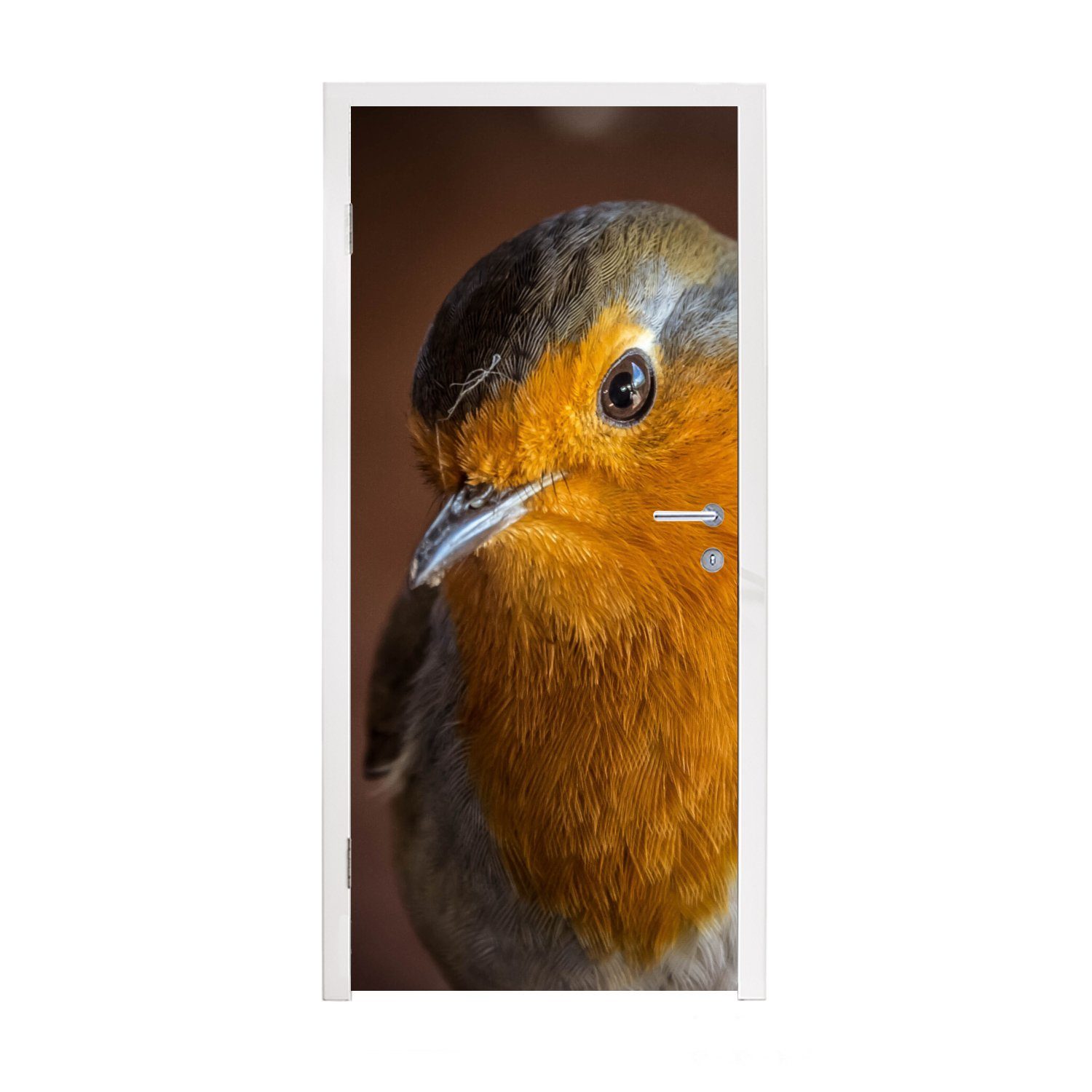 MuchoWow Türtapete Rotkehlchen - Porträt - Vogel, Matt, bedruckt, (1 St), Fototapete für Tür, Türaufkleber, 75x205 cm
