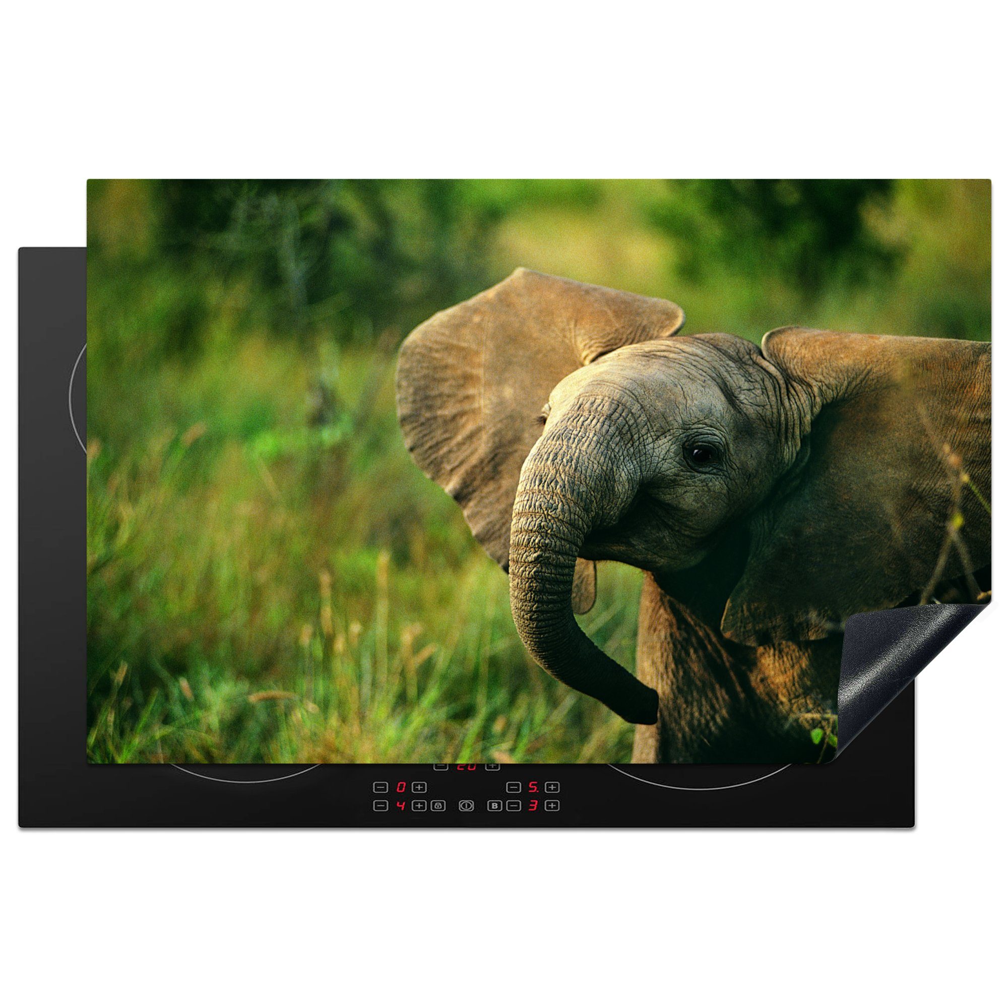 MuchoWow Herdblende-/Abdeckplatte Elefant - Grün - Tiere - Natur, Vinyl, (1 tlg), 81x52 cm, Induktionskochfeld Schutz für die küche, Ceranfeldabdeckung