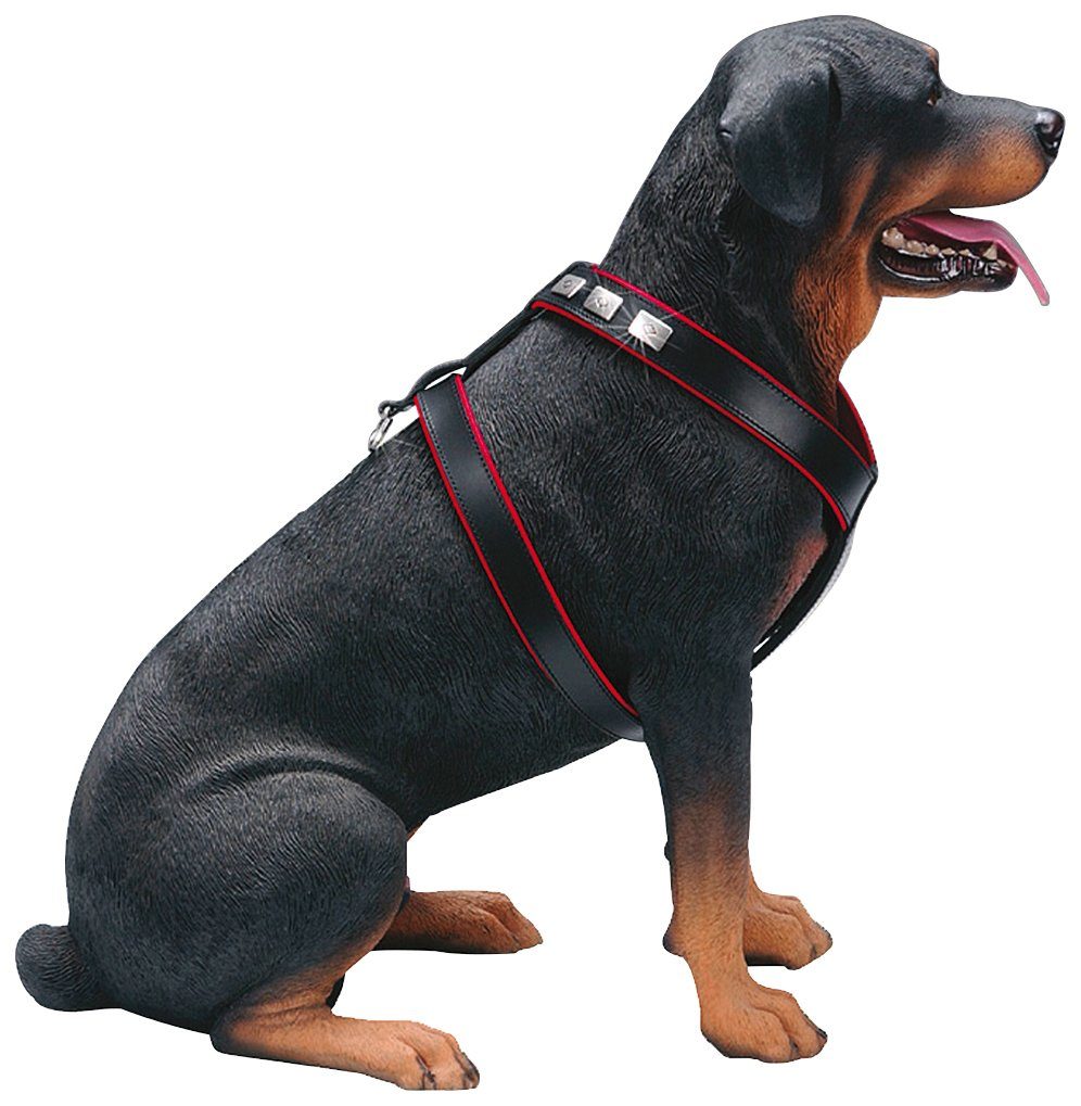 Größe S für kleine Hunde Farbe schwarz Hunter Hilo Hundegeschirr mit Leder 