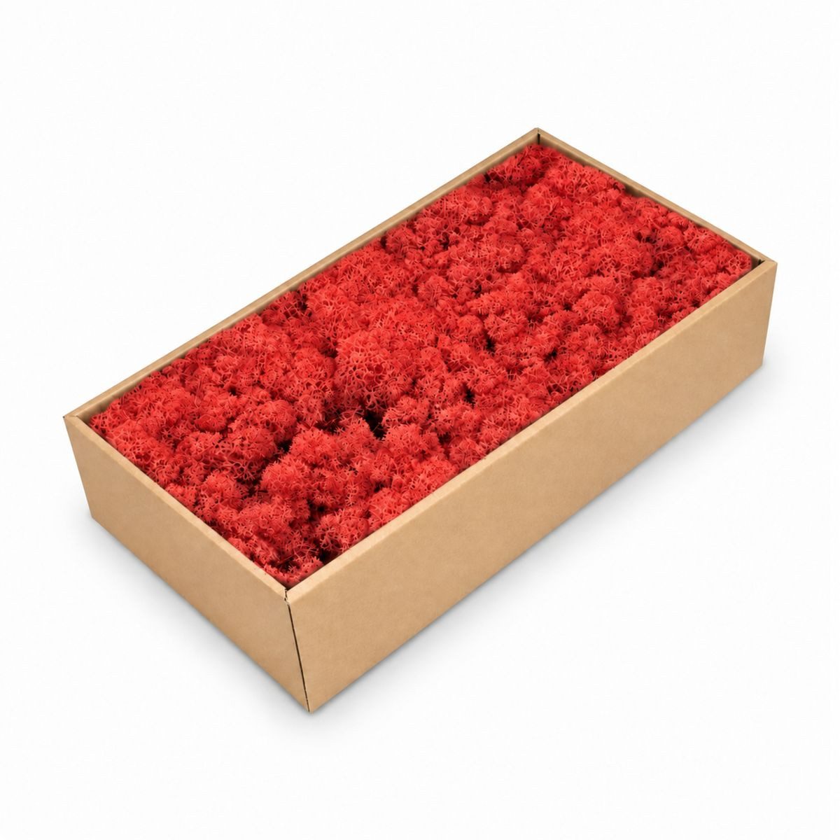 NaDeco Bastelnaturmaterial Islandmoos Rot 500g