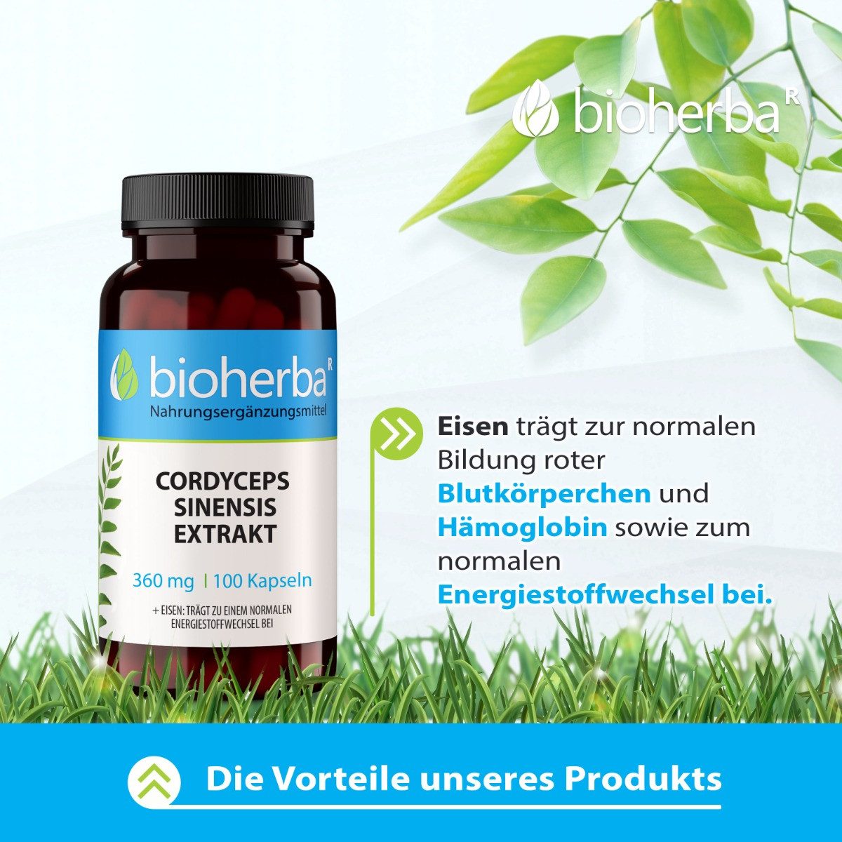 BIOHERBA R Cordyceps Sinensis Extrakt 360 mg 100 Kapseln Nahrungsergänzungsmittel