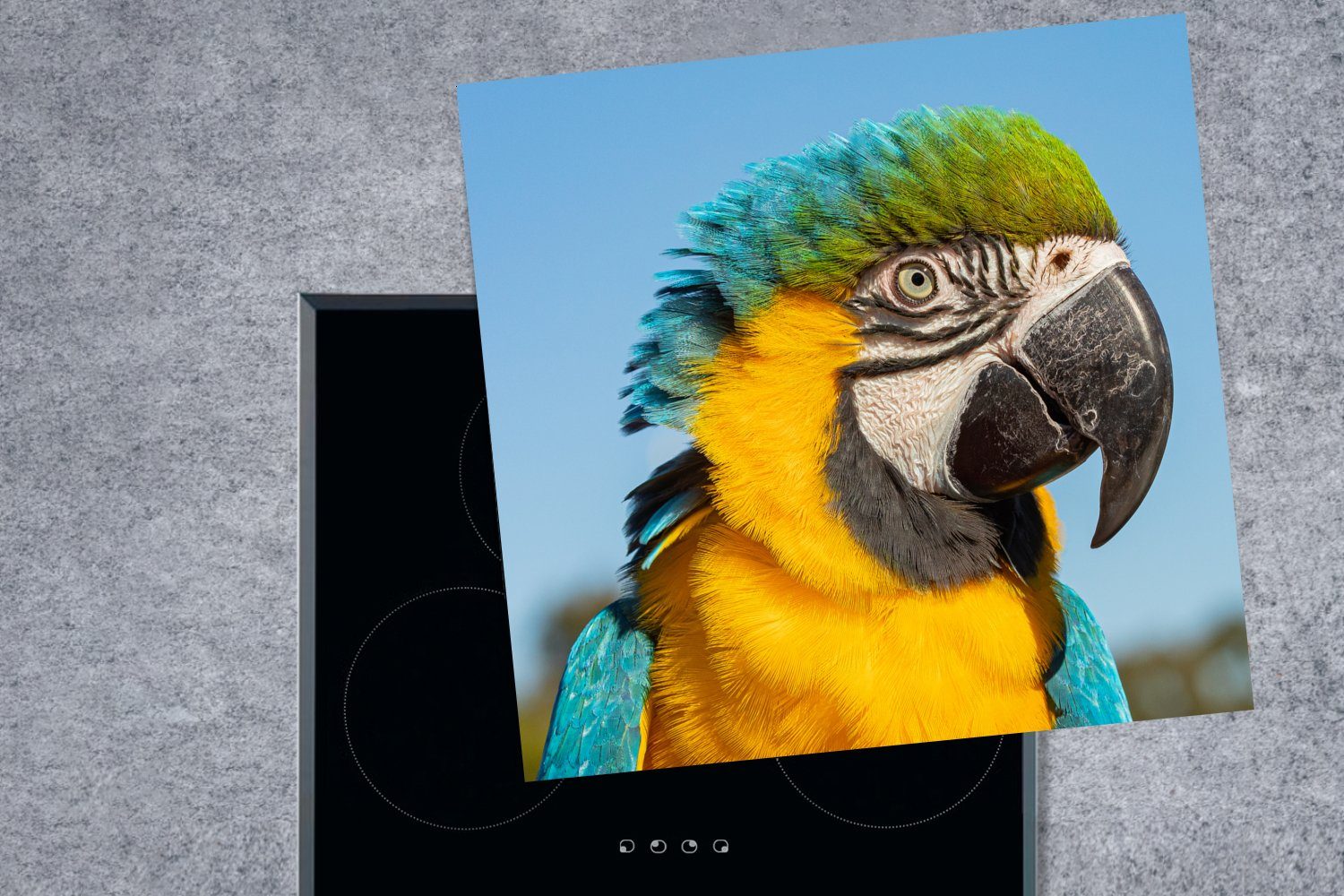 Papageis mit 78x78 Ceranfeldabdeckung, küche MuchoWow cm, Gefieder, tlg), buntem eines Nahaufnahme Arbeitsplatte Herdblende-/Abdeckplatte für (1 Vinyl,