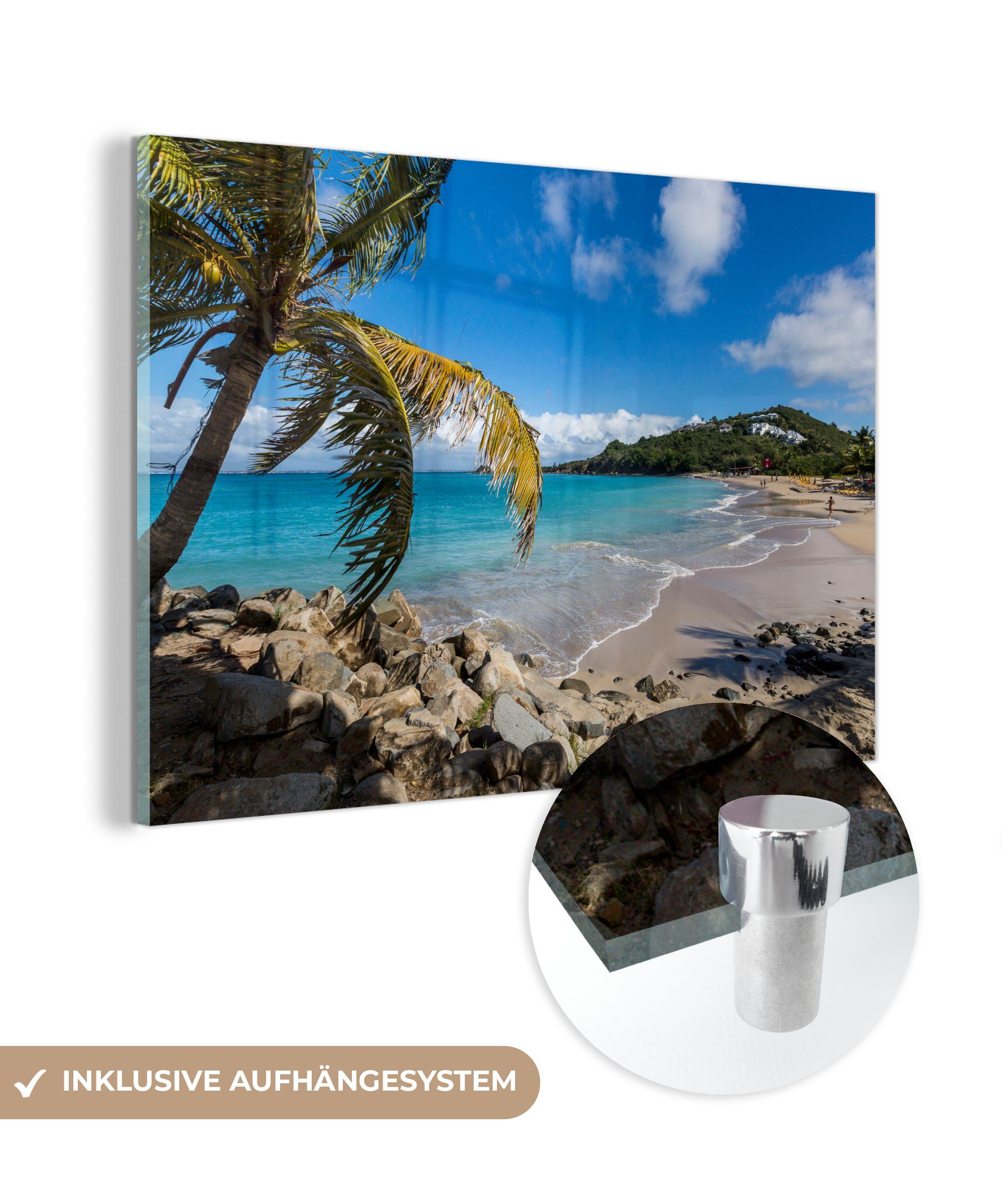 MuchoWow Acrylglasbild Ein tropischer Strand mit einer Palme auf Sint Maarten, (1 St), Acrylglasbilder Wohnzimmer & Schlafzimmer