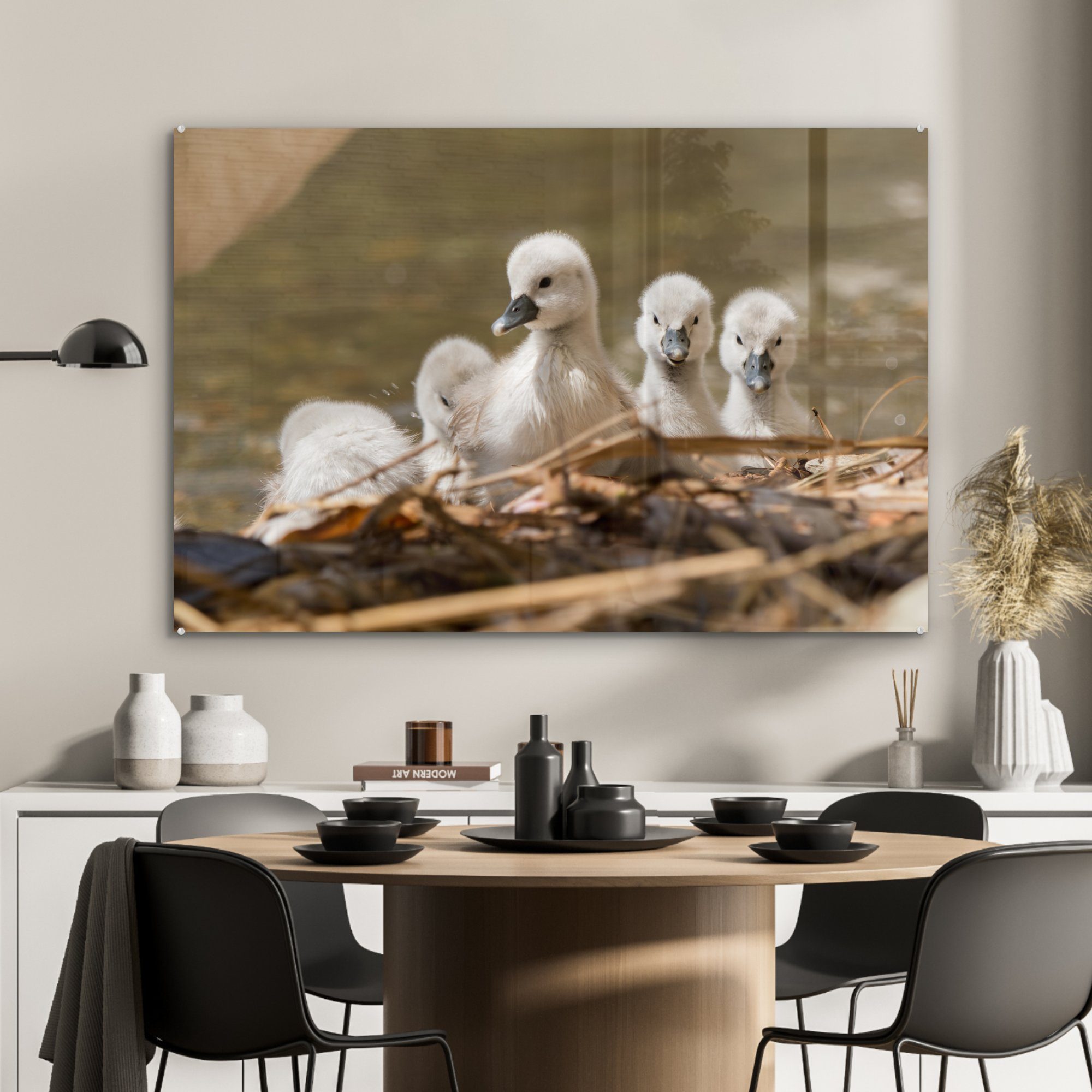 Schwan Baby, (1 Schlafzimmer MuchoWow & Wohnzimmer - Wurf Acrylglasbild Acrylglasbilder - St),