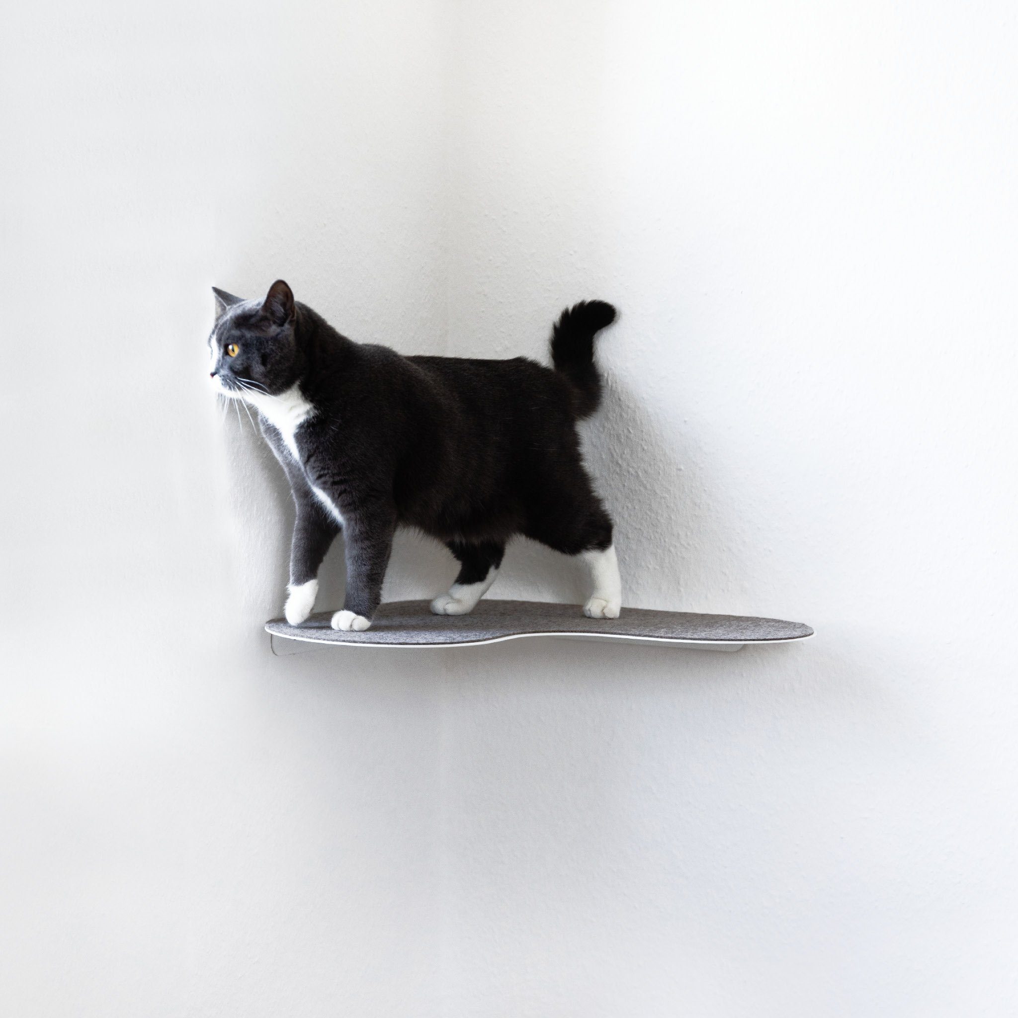 LucyBalu Katzen-Wandregal Katzen Wandliege mit Filzauflage günstig online kaufen
