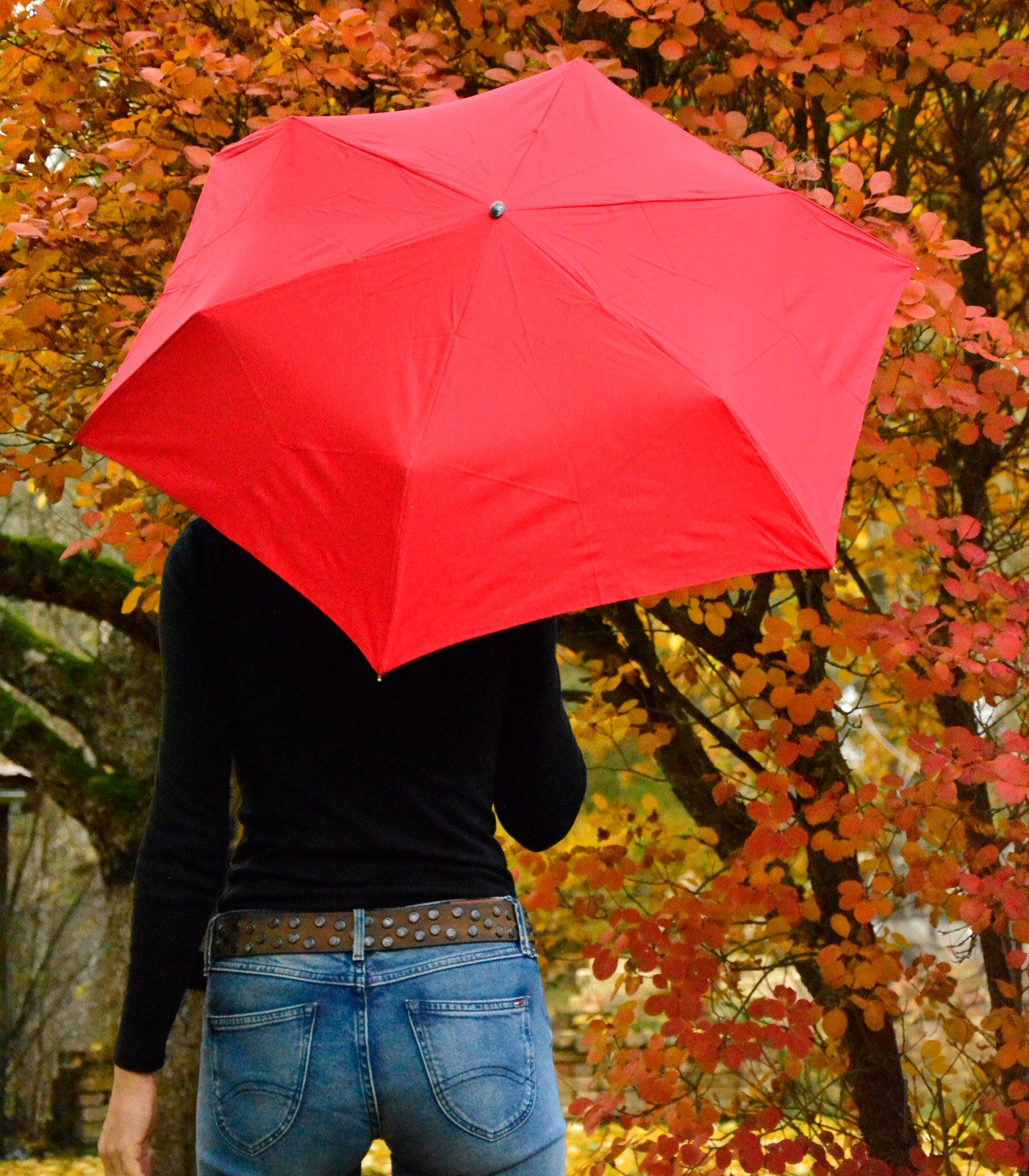 iX-brella Taschenregenschirm Steel Flat - nur 2,5 cm dick und sehr klein, sehr flach, manueller Öffnungsmechanismus