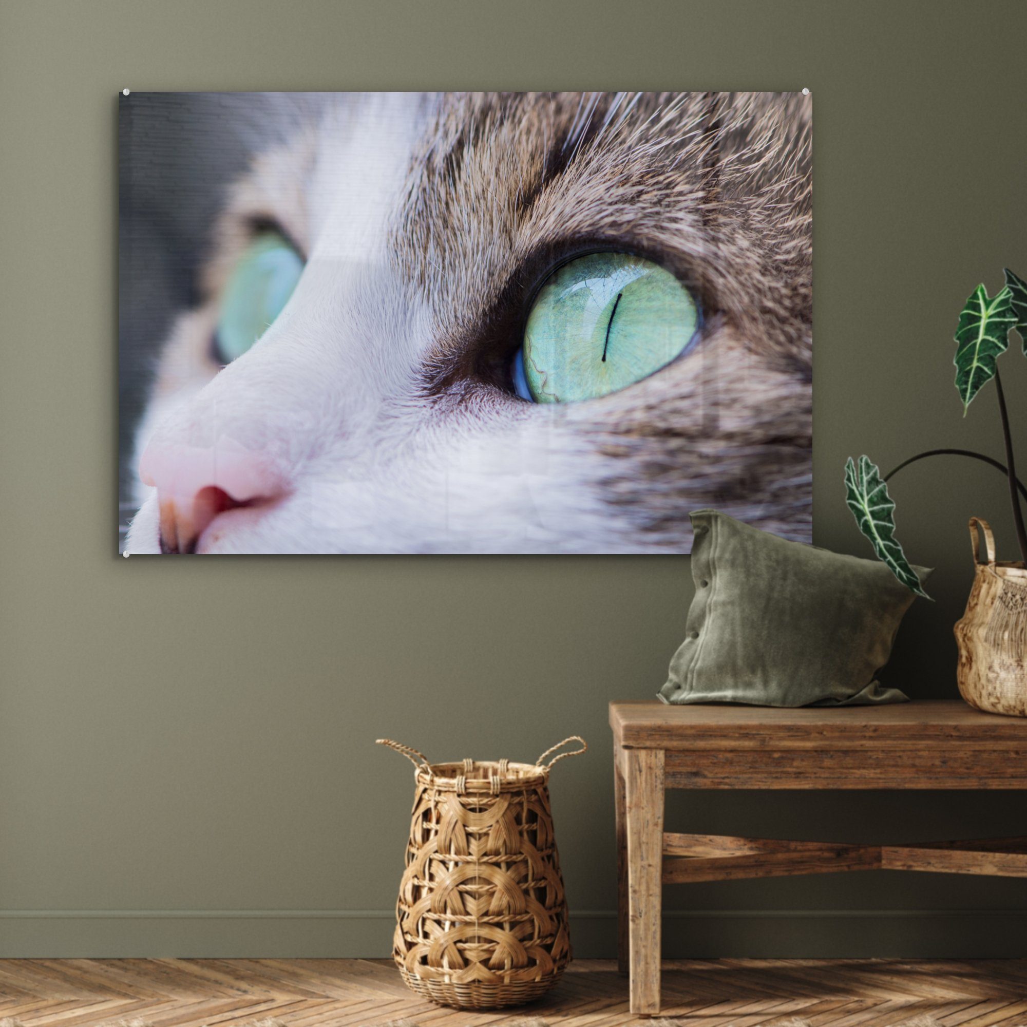 MuchoWow Acrylglasbild Katze - St), - Licht Wohnzimmer (1 Schlafzimmer Acrylglasbilder & Augen