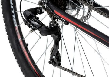 KS Cycling Mountainbike Xceed, 21 Gang Shimano Tourney Schaltwerk, Kettenschaltung, für Herren, Kettenschaltung