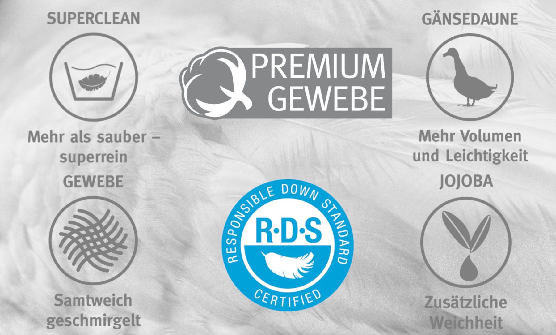 Paradies Gänsedaunenbettdecke Galia 100, Füllung: 100% Daunen, Bezug: 100% Baumwolle