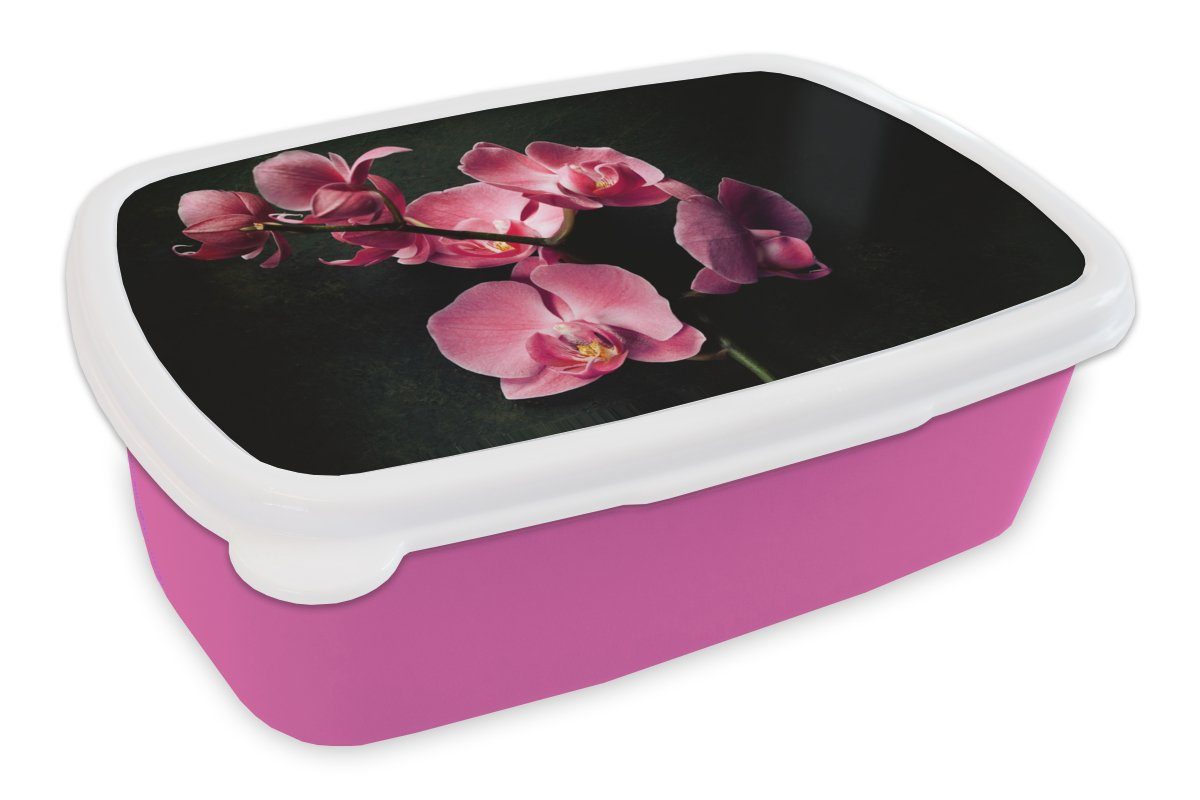 MuchoWow Lunchbox Pflanzen - Orchidee - Blumen - Rosa, Kunststoff, (2-tlg), Brotbox für Erwachsene, Brotdose Kinder, Snackbox, Mädchen, Kunststoff