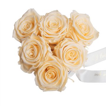 Kunstblume Infinity Rosenbox Herz 6 ewige Rosen I Love You Geschenk für Frauen Rose, ROSEMARIE SCHULZ Heidelberg, Höhe 10 cm, Valentinstag Geschenk für Frau