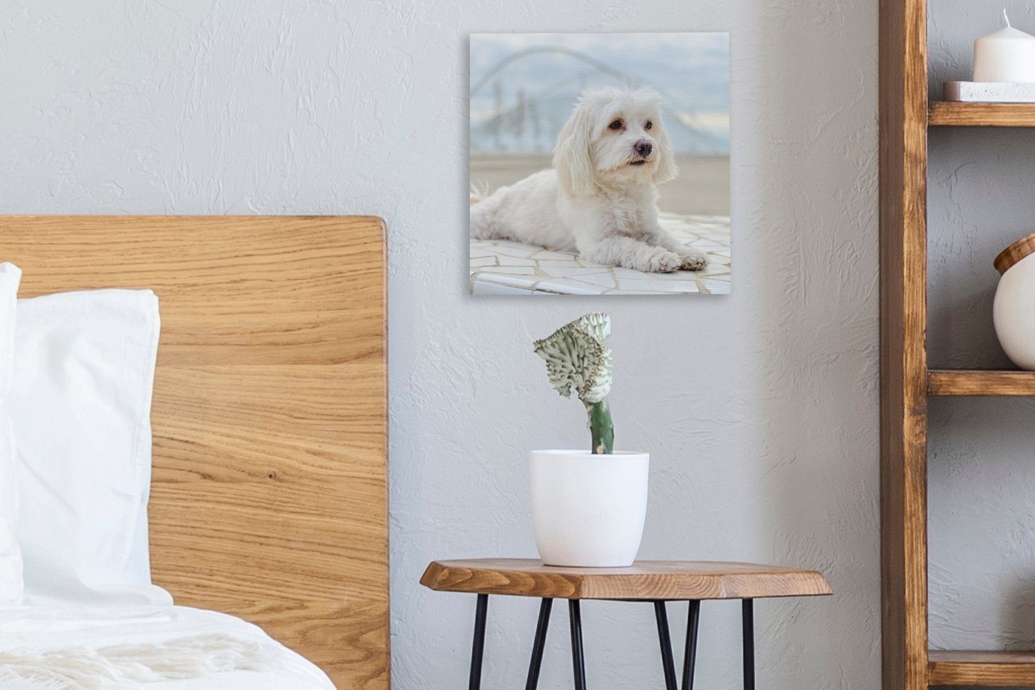 OneMillionCanvasses® Leinwandbild Ruhiger Malteser Leinwand Bilder für St), (1 Schlafzimmer sich, Wohnzimmer entspannt