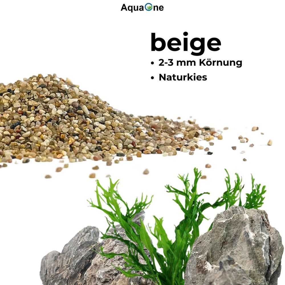 Aquaone Aquarienkies 5 kg Naturkies Beige Mittel (2-3 mm) – Premium Bodengrund für Aquarien