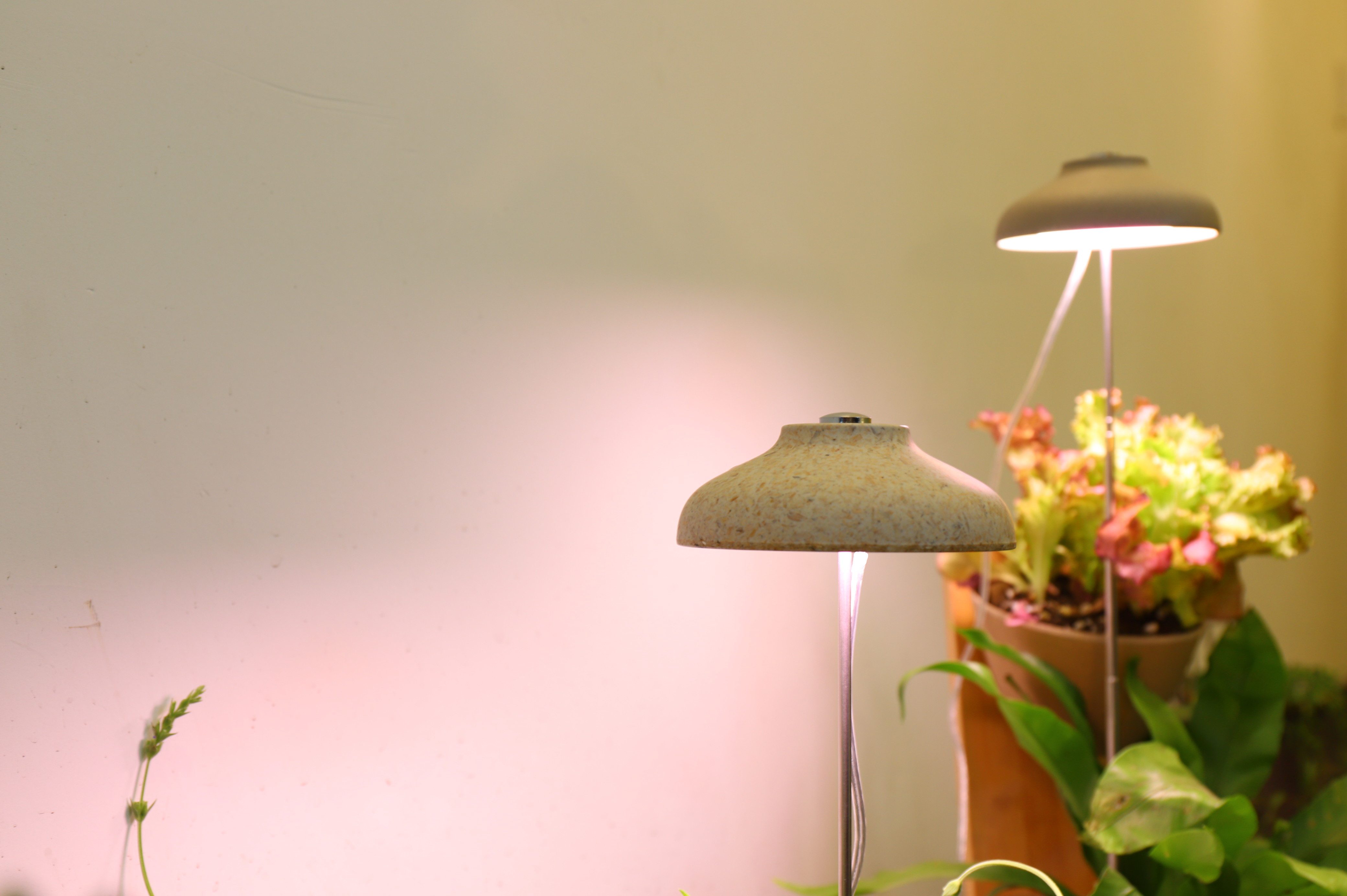 Northpoint Pflanzenlampe LED 7W 2er-Set Pflanzenlampe günstig online kaufen