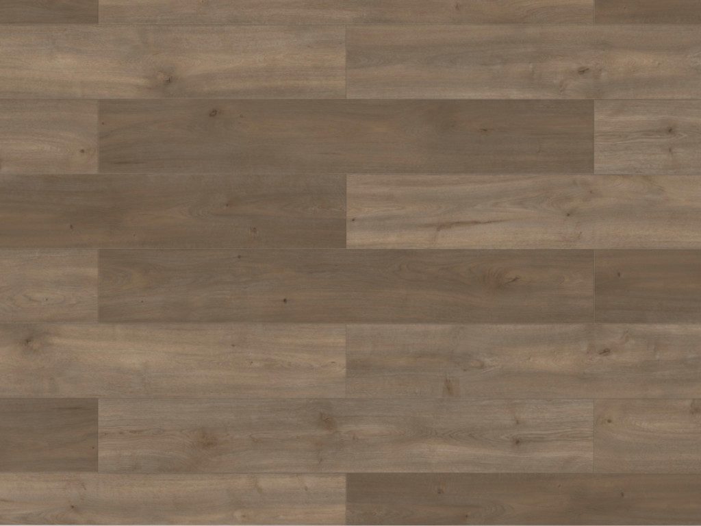 BASICfloor Laminat Laminat Lifestyle Trend Bellemont Oak grey brown Landhausdiele