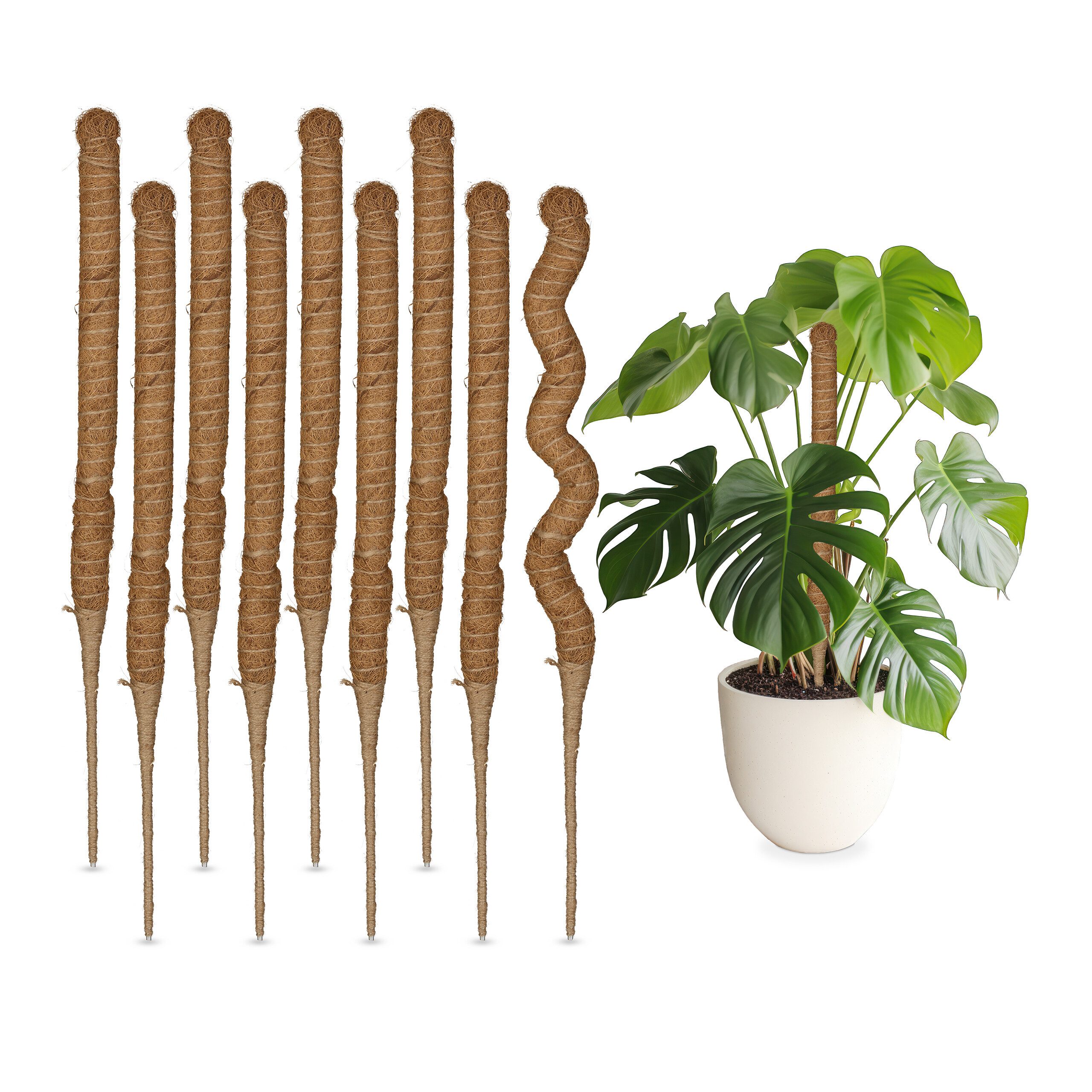 relaxdays Rankhilfe Kokosstäbe 60 cm, 10 günstig online kaufen