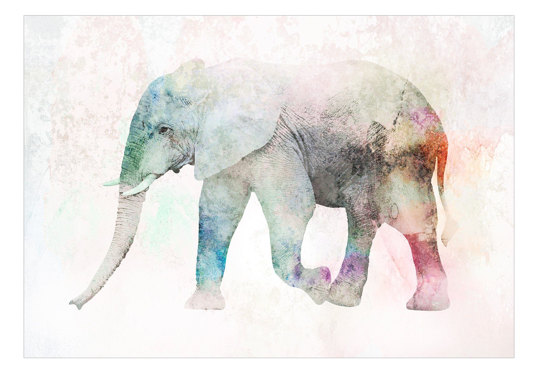 KUNSTLOFT Vliestapete Painted Elephant 1x0.7 m, Design lichtbeständige halb-matt, Tapete