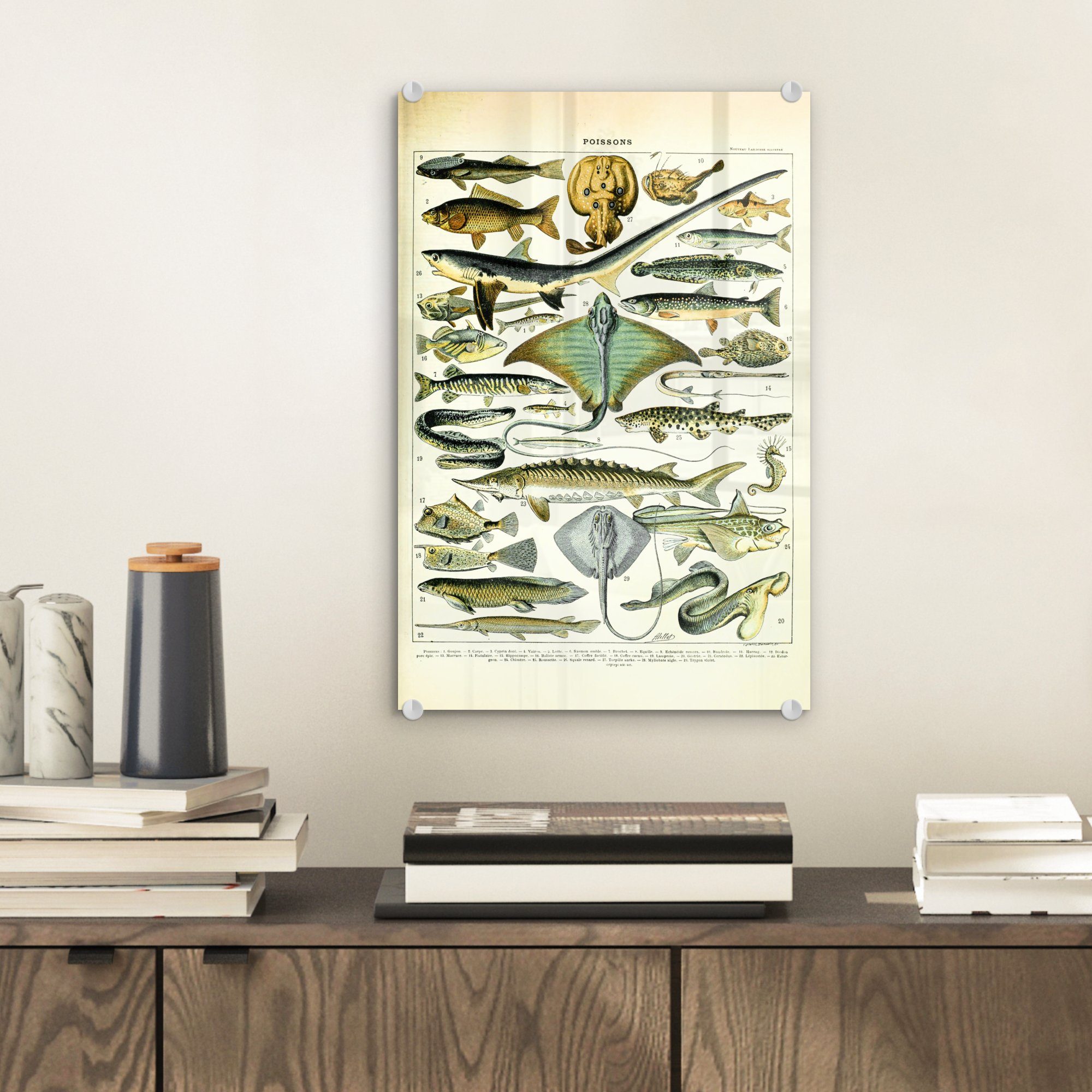 MuchoWow Acrylglasbild Fische Wanddekoration Glasbilder St), Glas (1 - Meerestiere Wandbild Tiere, auf Glas Foto - - - - auf Bilder