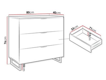 MIRJAN24 Kommode Telani 3S (mit drei Schubladen), Metallgriffe, Beine aus Metall-Vierkantrohrrahmen