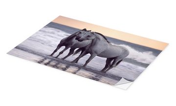 Posterlounge Wandfolie Wiebke Haas, Weiße Pferde am Strand, Badezimmer Maritim Fotografie