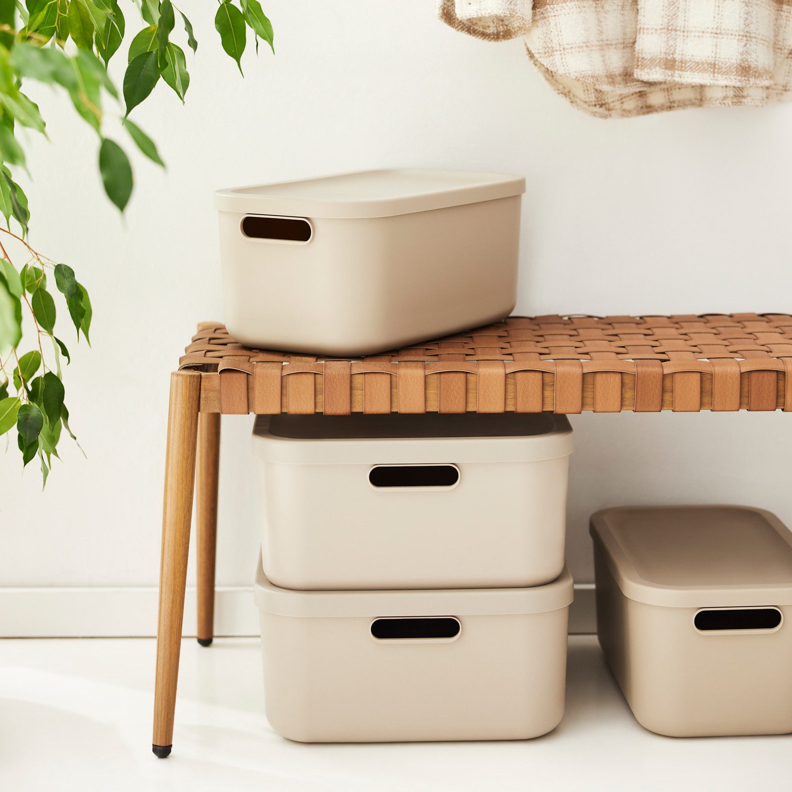 ROTHO Stapelbox Albula Light Set 5tlg. 4x 12l und 55l Aufbewahrungsboxen mi günstig online kaufen