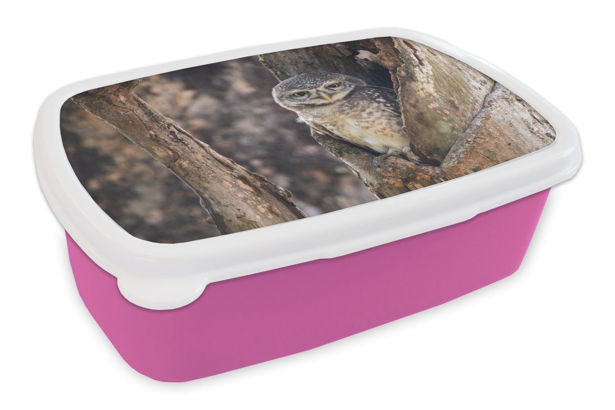 MuchoWow Lunchbox Eule - Baum - Wald, Kunststoff, (2-tlg), Brotbox für Erwachsene, Brotdose Kinder, Snackbox, Mädchen, Kunststoff rosa