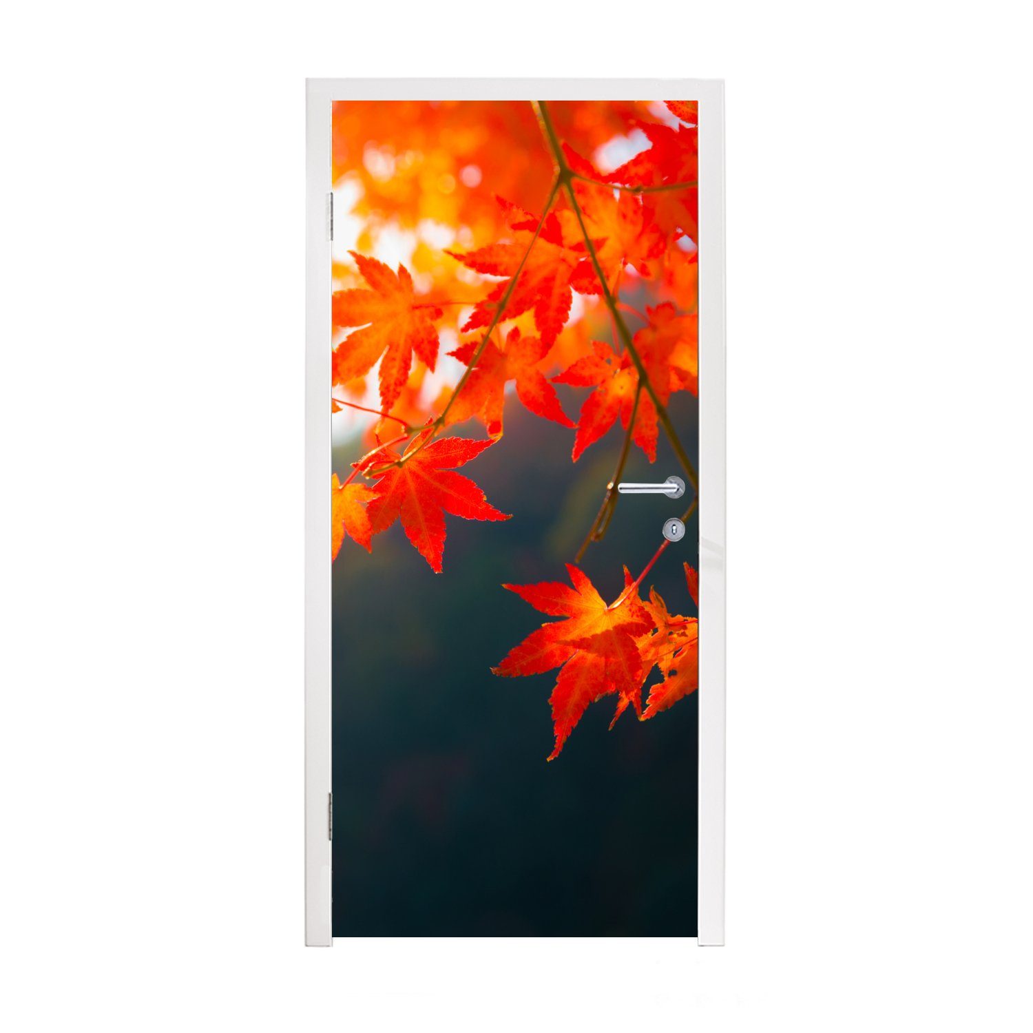 MuchoWow Türtapete Herbstblätter 75x205 Matt, in bedruckt, Fototapete Tür, Türaufkleber, für Japan, cm (1 St)