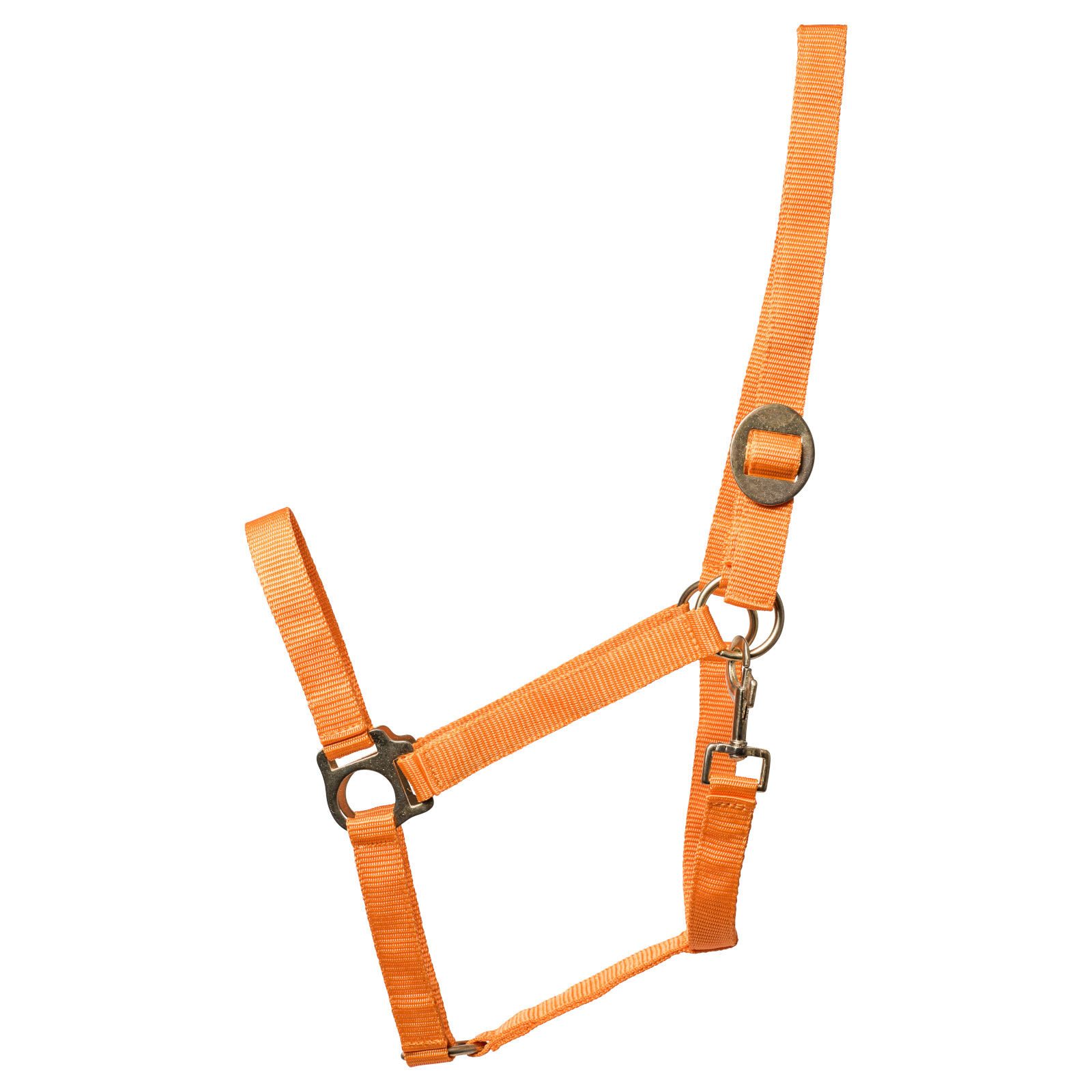eldorado Кобура Pferde-Halfter standard - orange - Warmblut, Nylon, stufenlos verstellbar