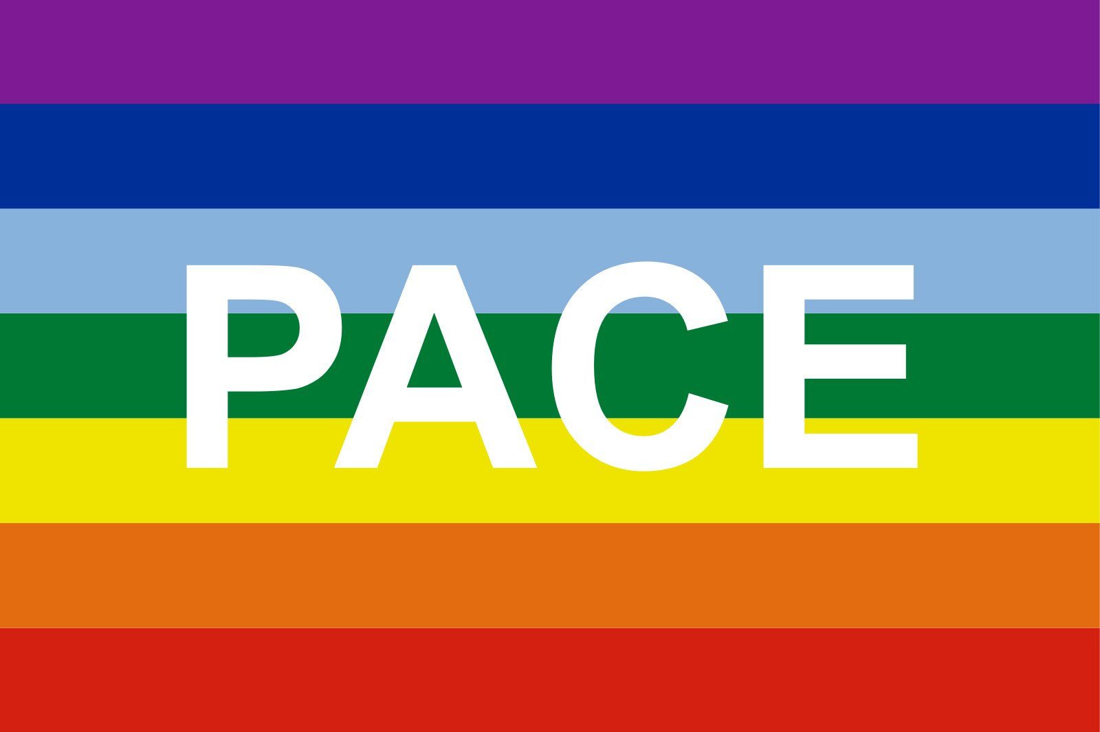 Pace Flagge flaggenmeer g/m² Regenbogen 110 Flagge Querformat