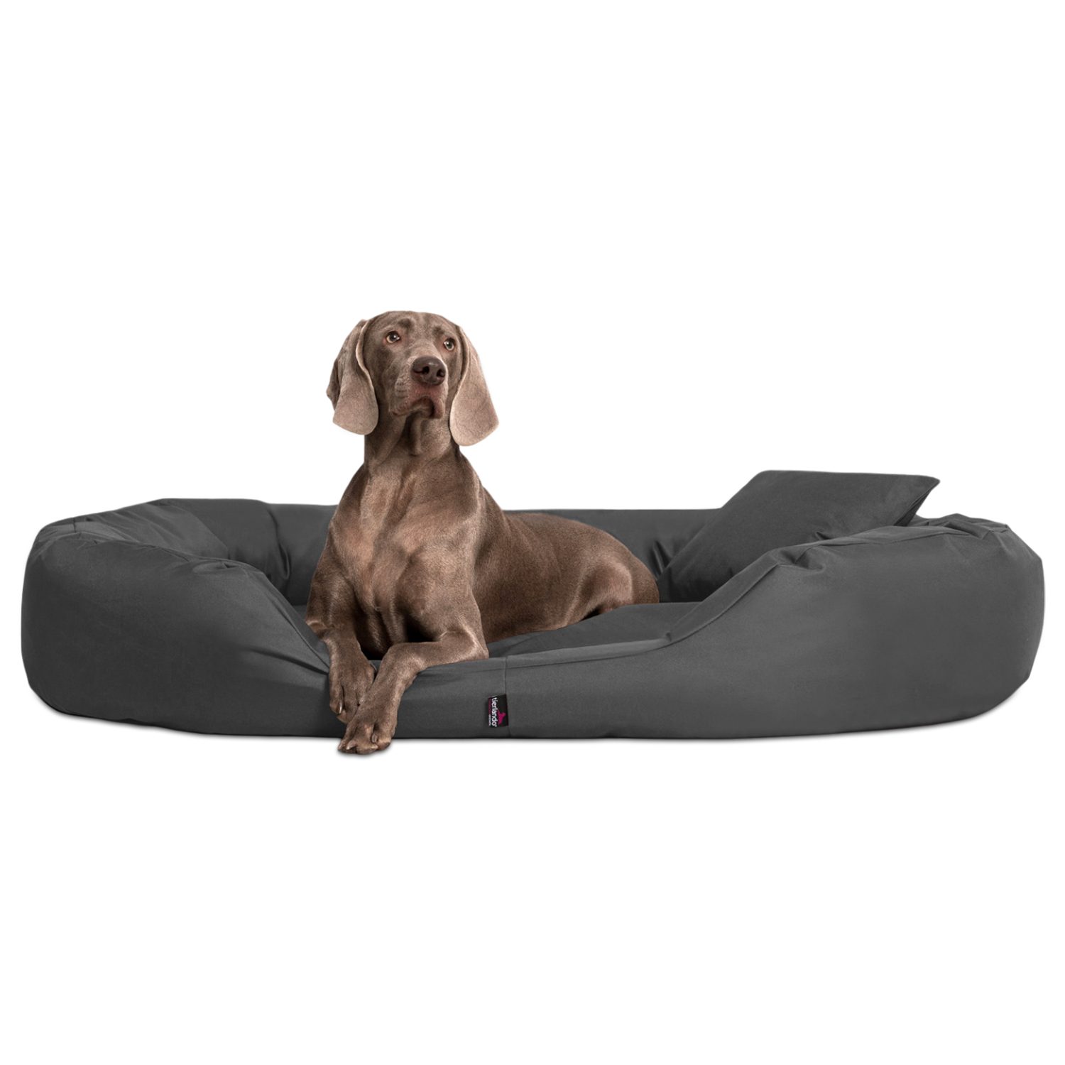 Tierbett Orthopädisches Hundebett SAMMY, Robuster Polyester, Dicke Umrandung