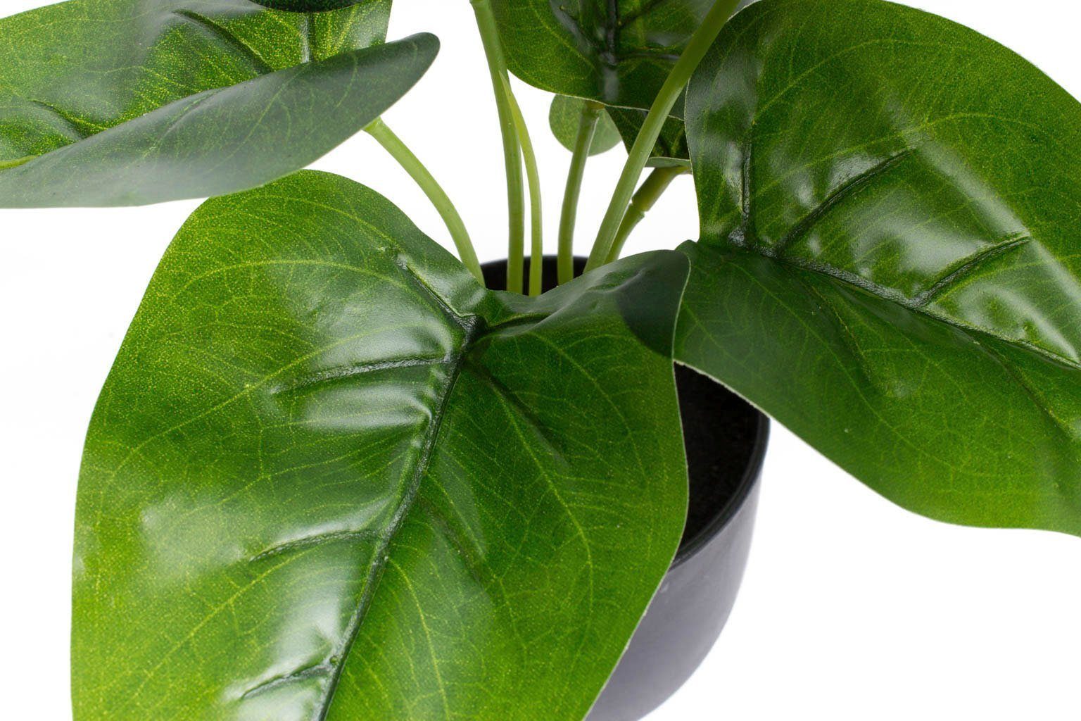 Künstliche Zimmerpflanze Philodendron Philodendron, Botanic-Haus, Höhe 24 cm