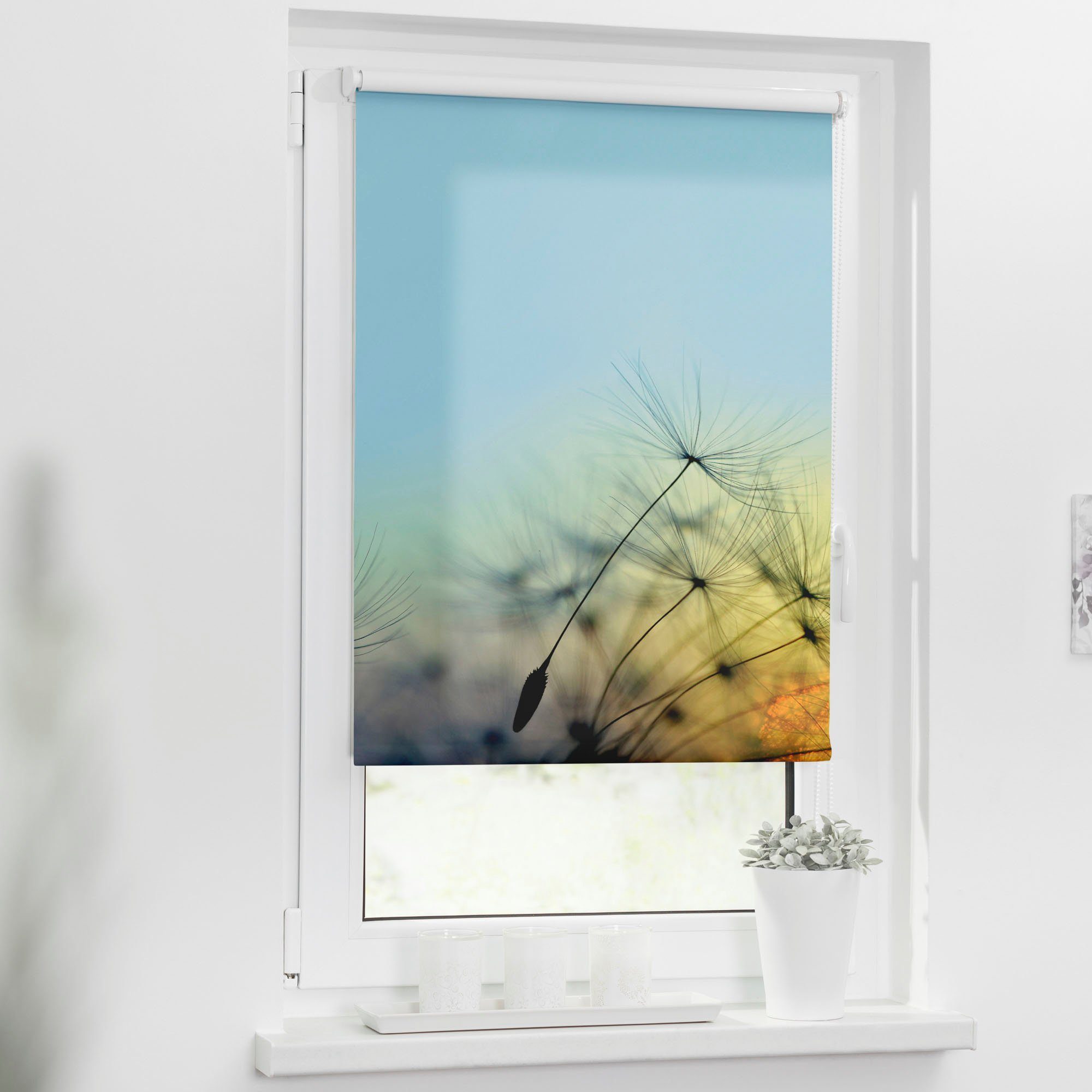 Seitenzugrollo Klemmfix Motiv Pusteblume, LICHTBLICK ORIGINAL, günstig online kaufen